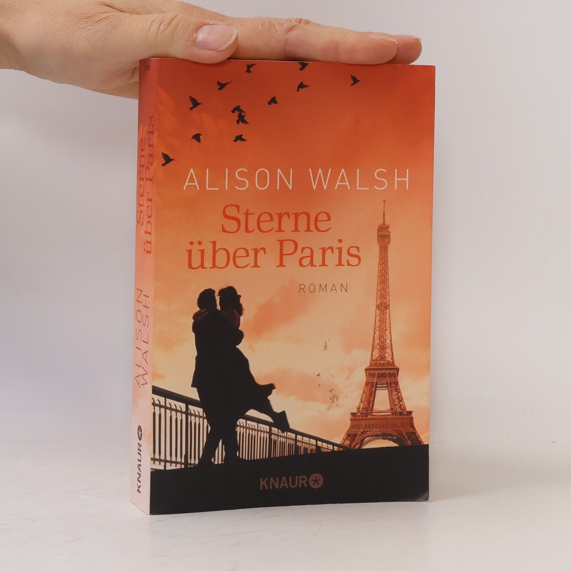 Alison Walsh Sterne über Paris