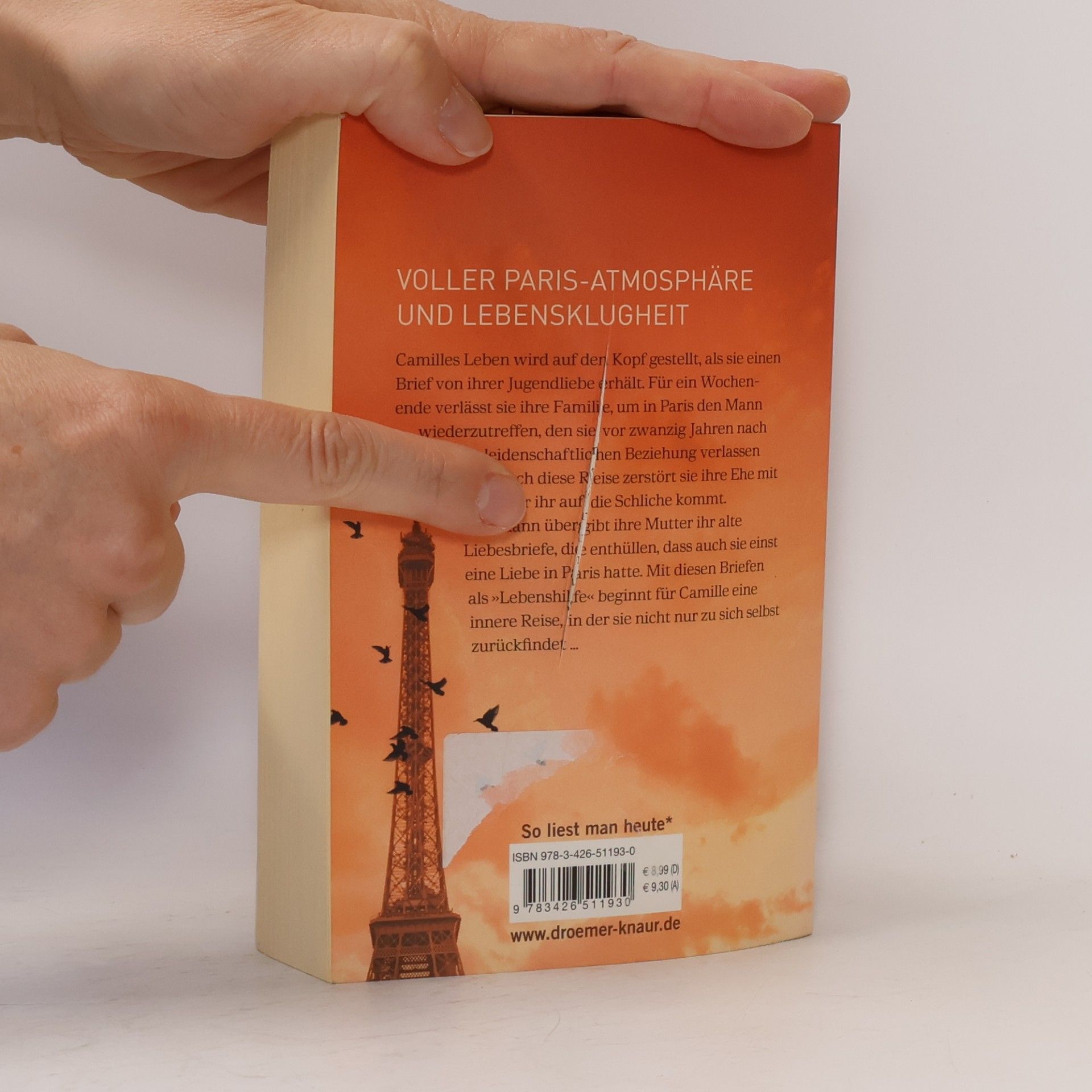 Alison Walsh Sterne über Paris