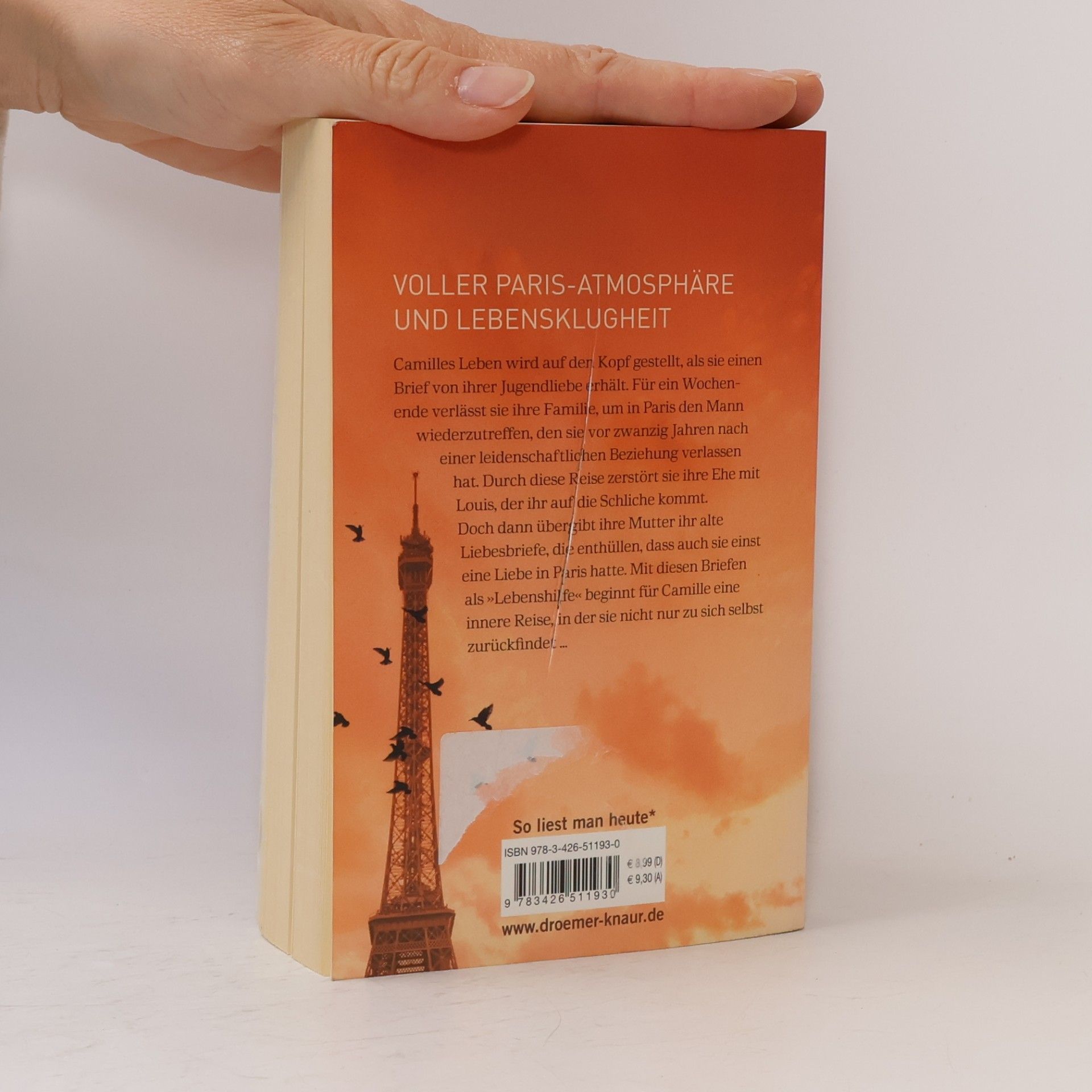 Alison Walsh Sterne über Paris