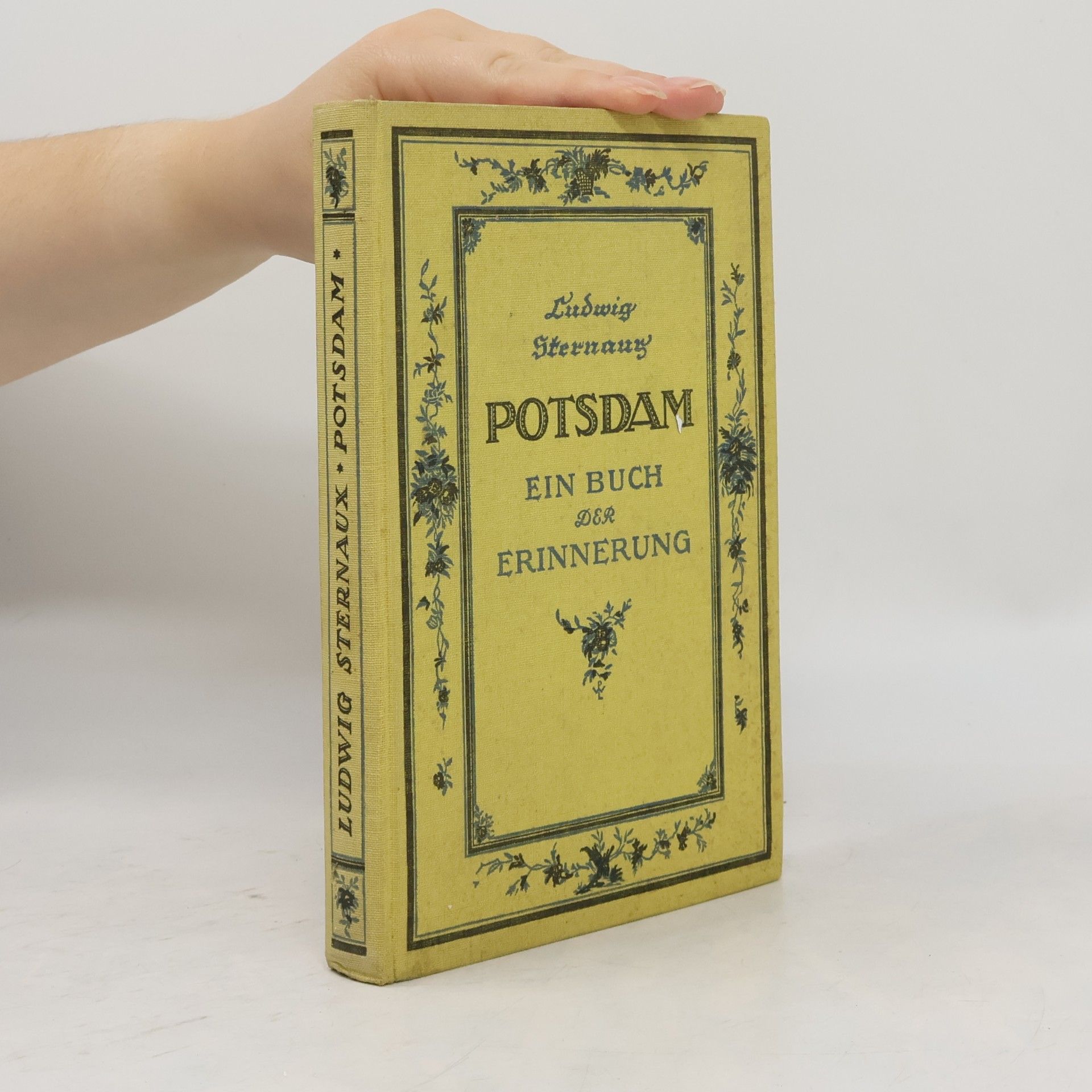 Ludwig Sternauy Potsdam: ein Buch der Erinnerung