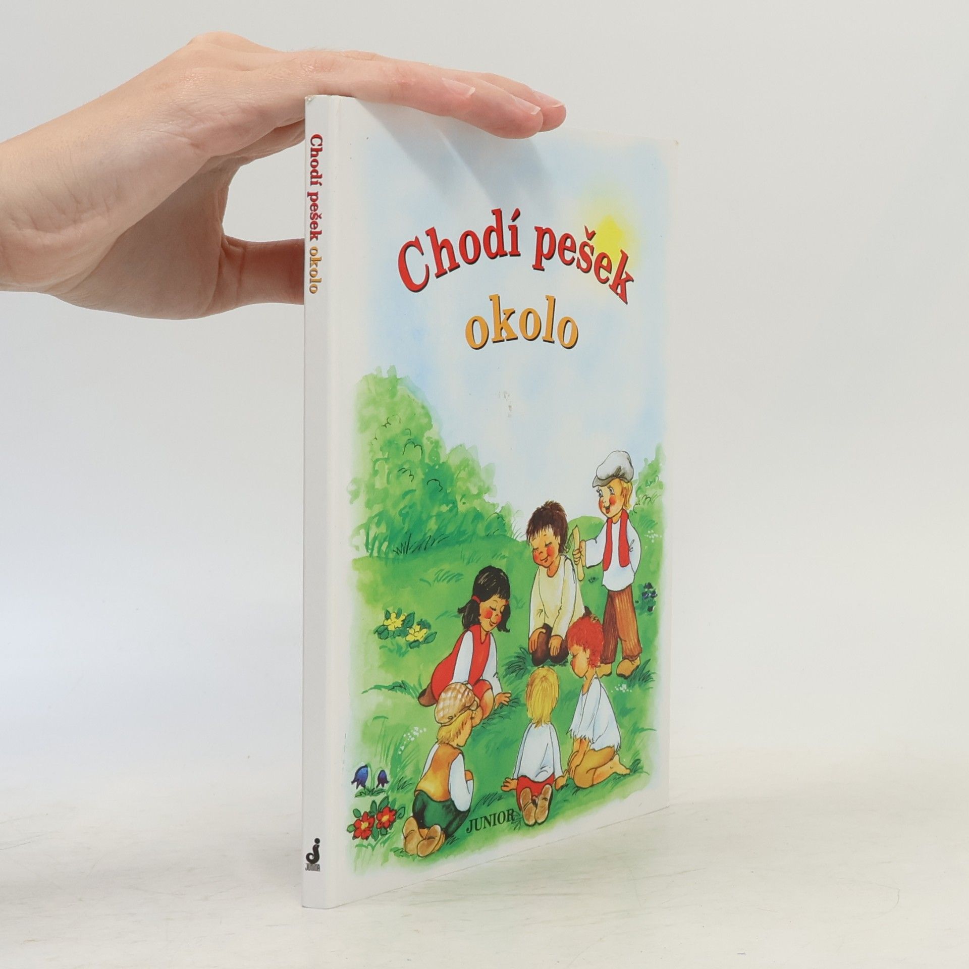 Vladimíra Vopičková Chodí pešek okolo (leporelo)
