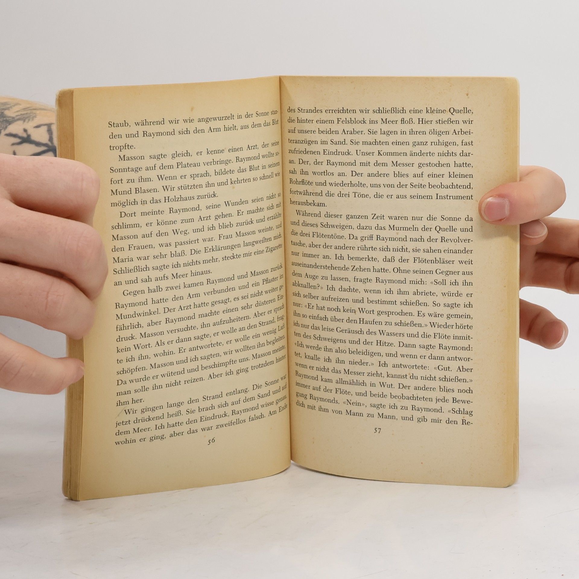 Albert Camus Der Fremde