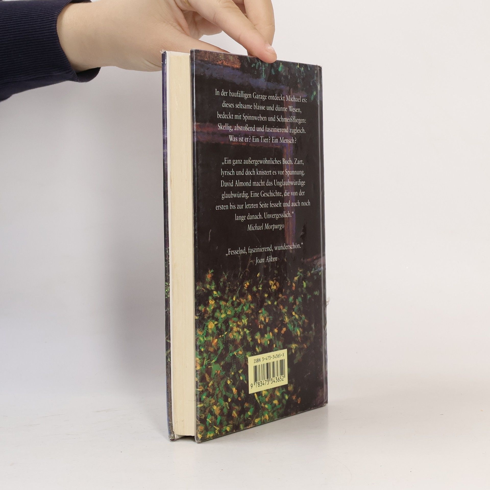 David Almond Zeit des Mondes