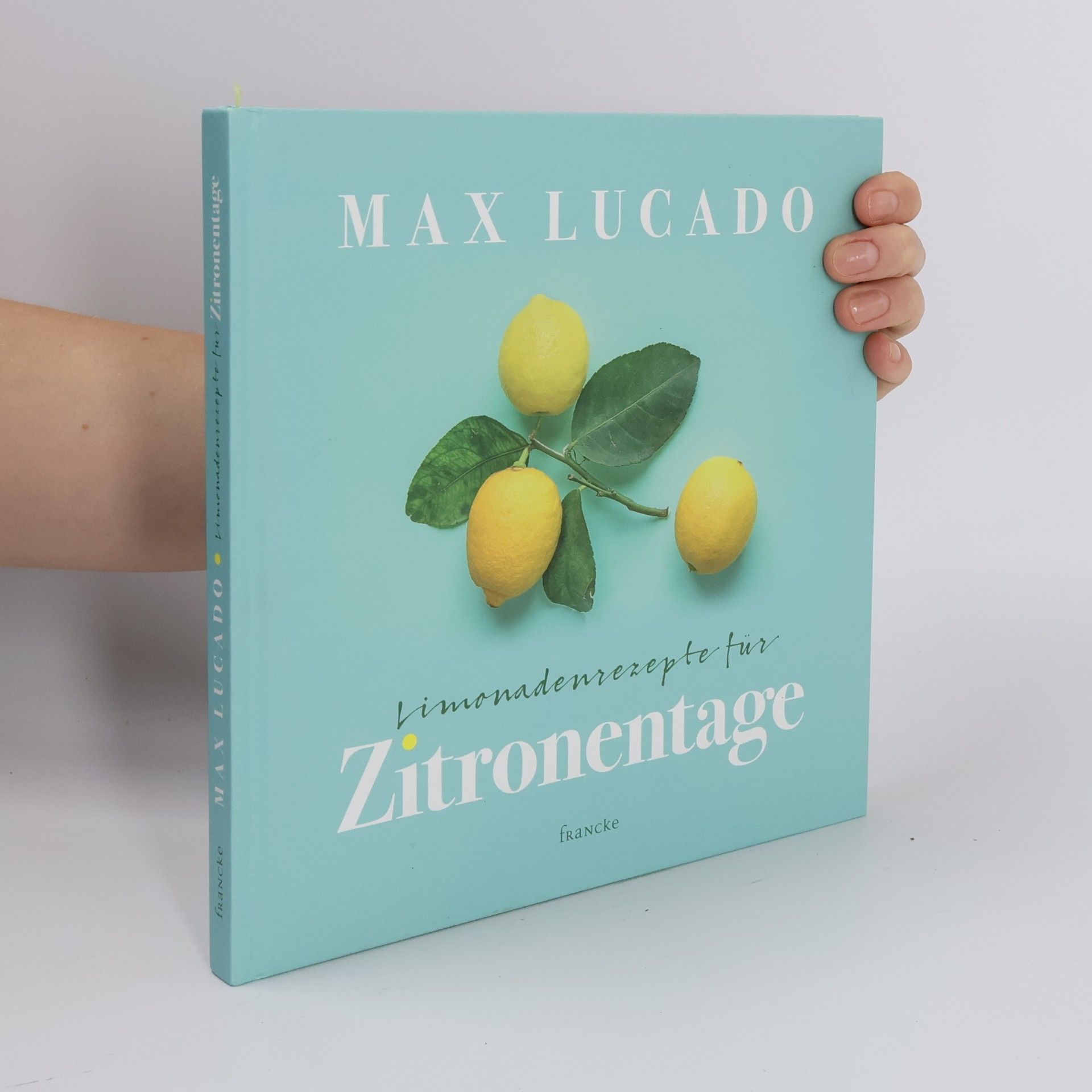 Max Lucado Limonadenrezepte für Zitronentage