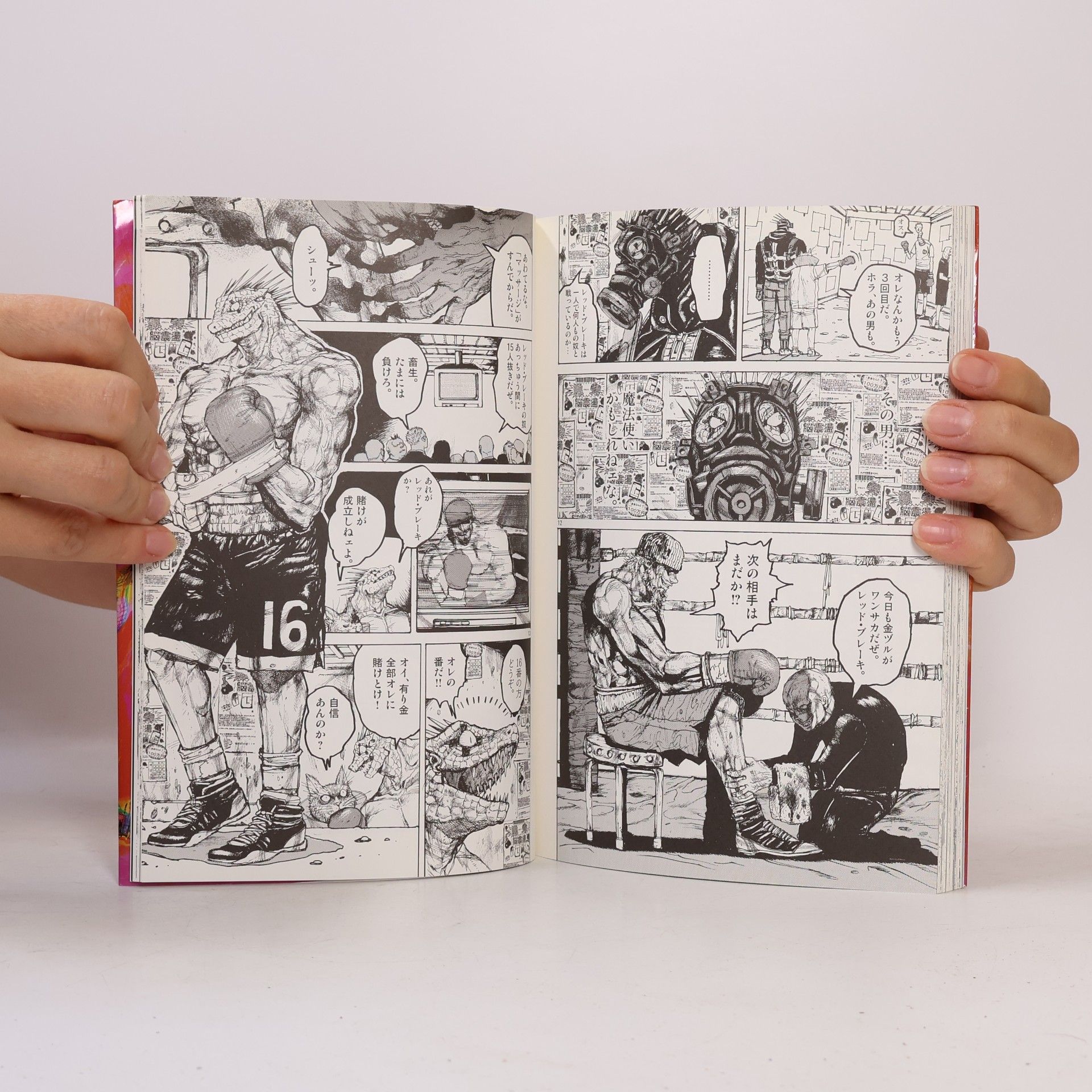 Q Hayashida ドロヘドロ