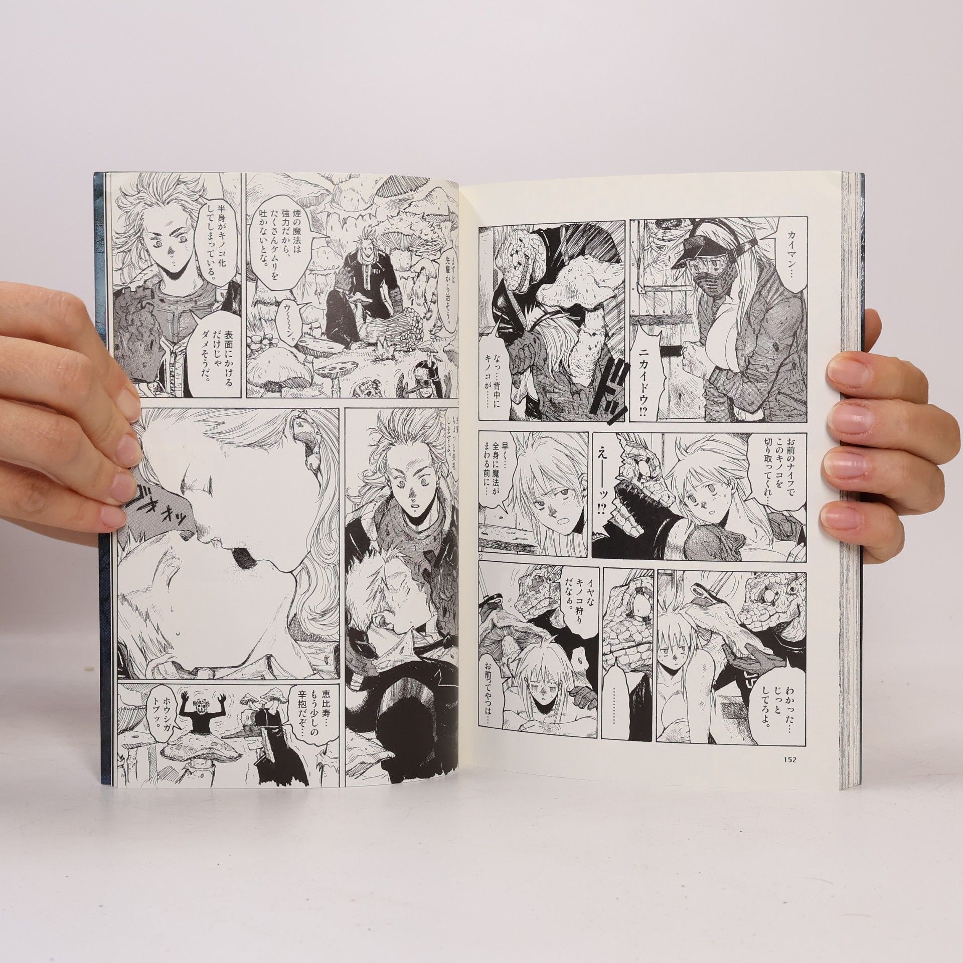 Q Hayashida ドロヘドロ