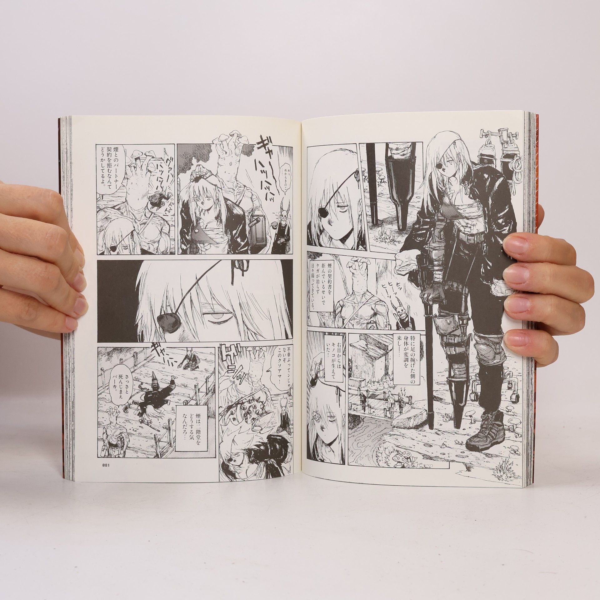 Q Hayashida ドロヘドロ