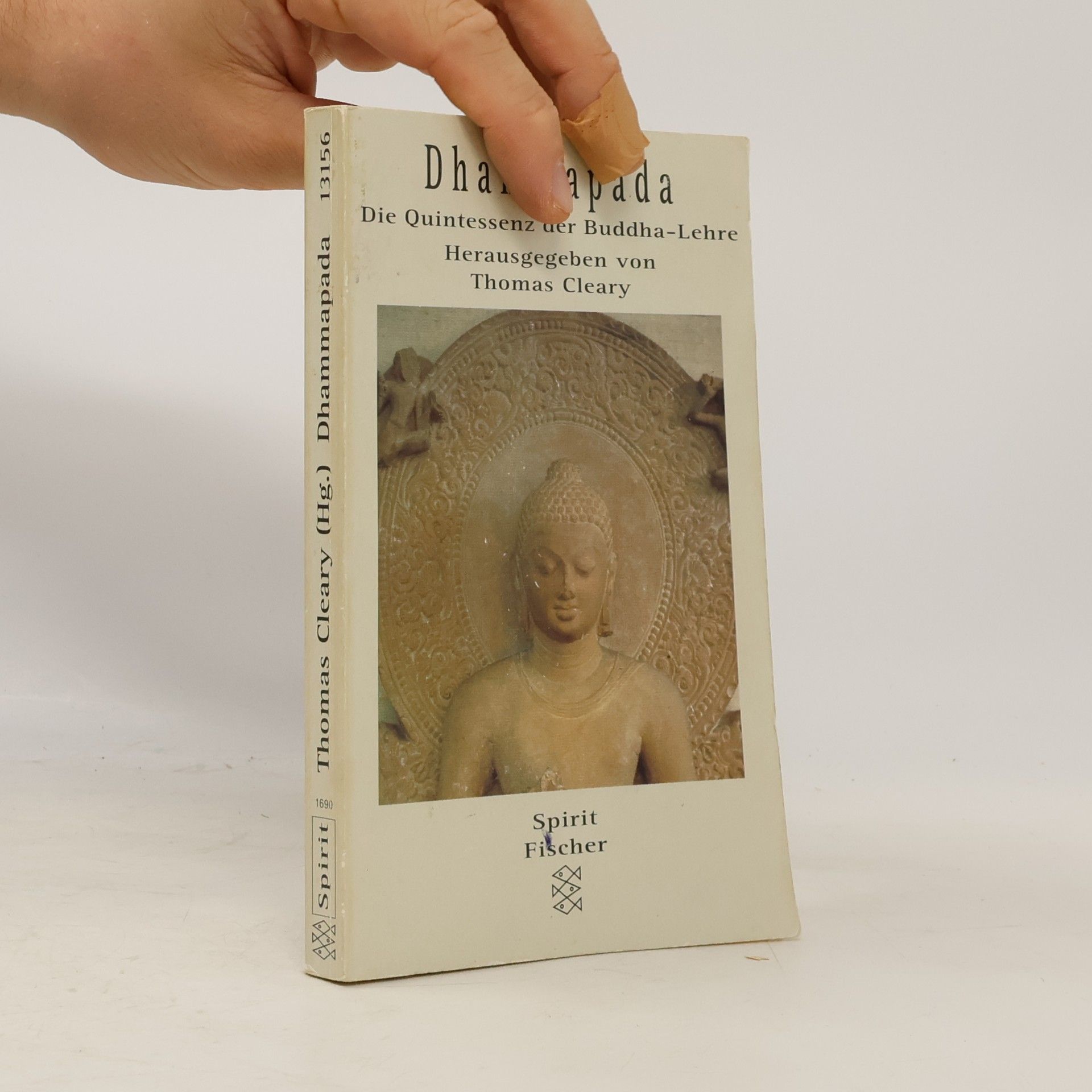 Dhammapada. Die Quintessenz der Buddha-Lehre