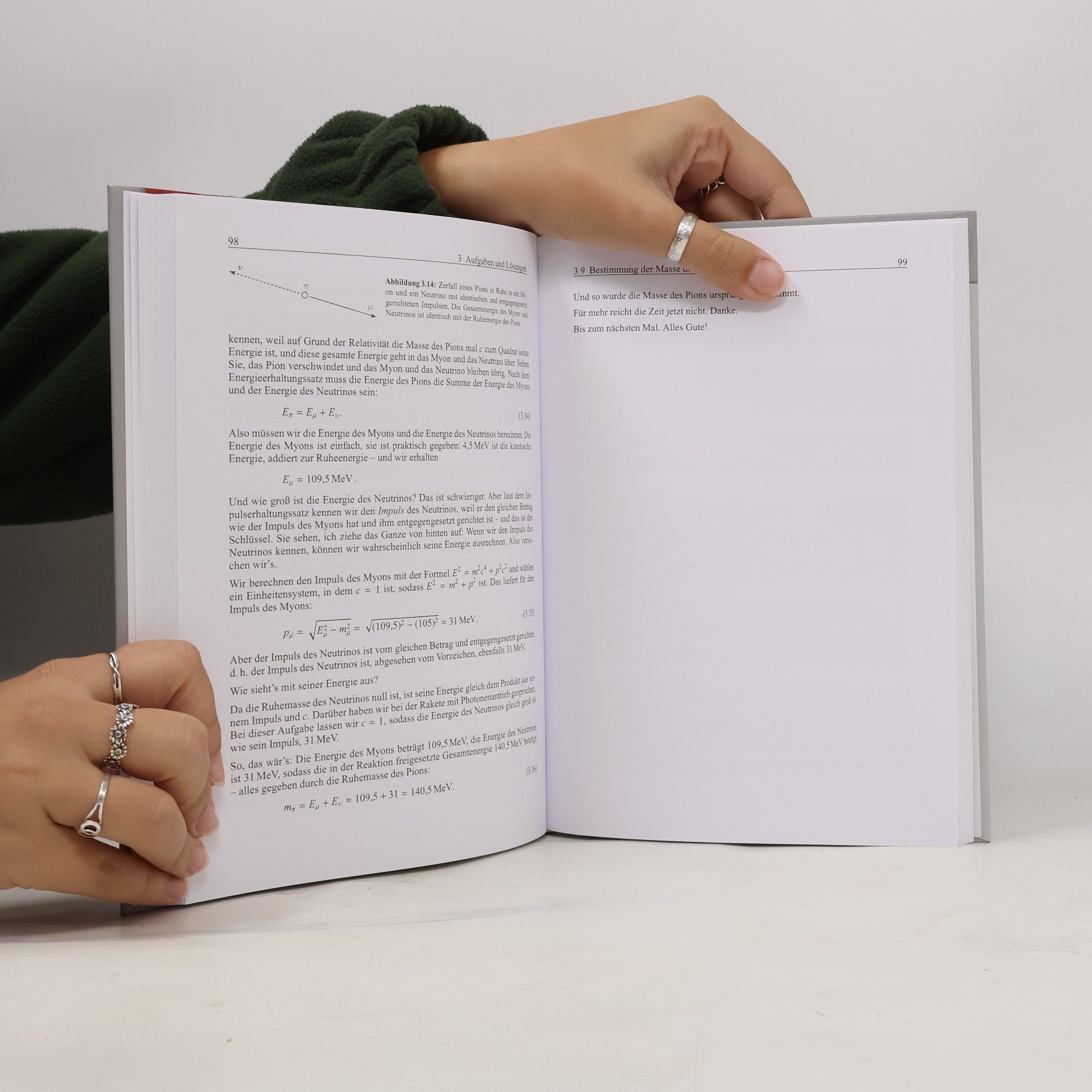 Richard Feynman De Gruyter Studium: Tipps zur Physik