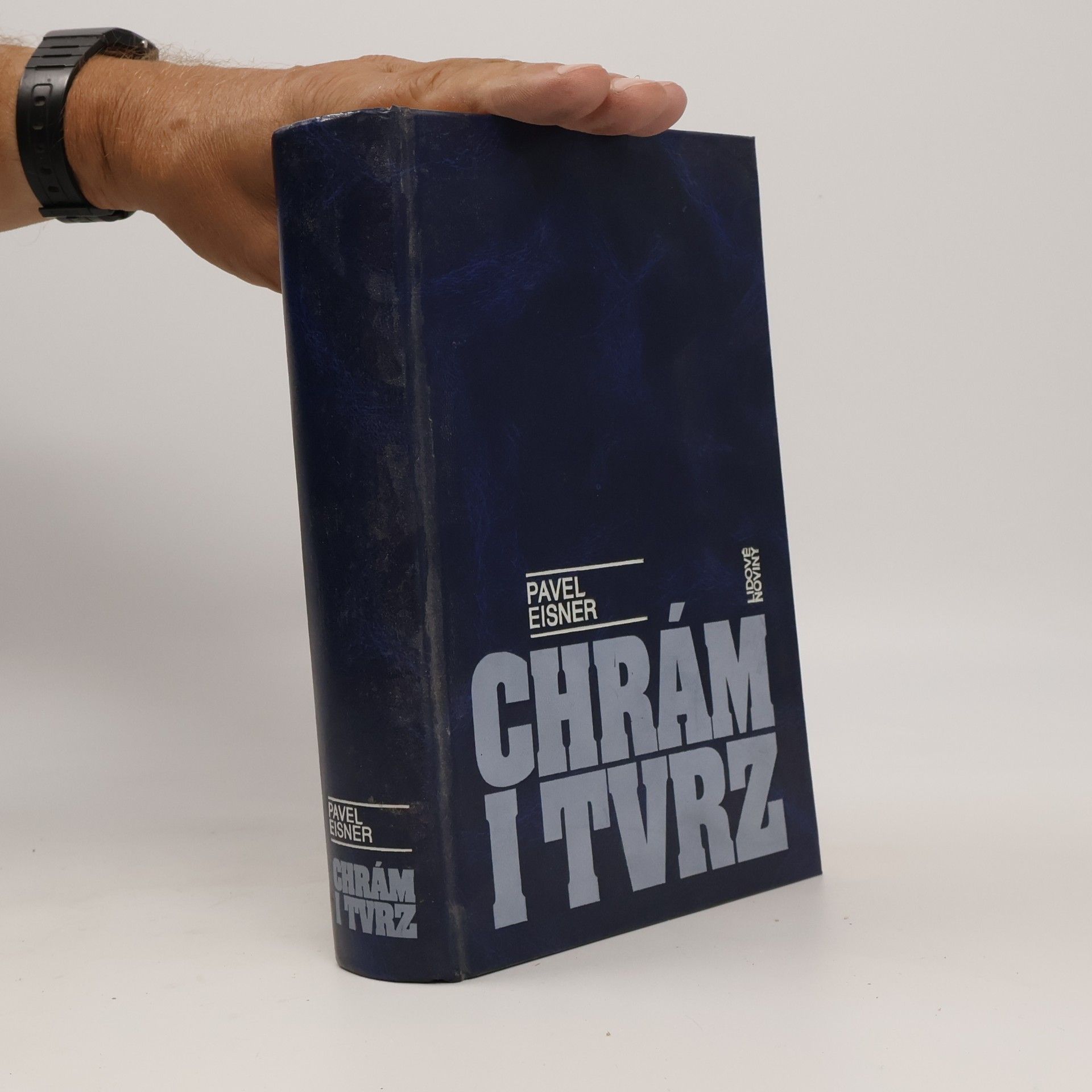 Chrám i tvrz. Kniha o češtině