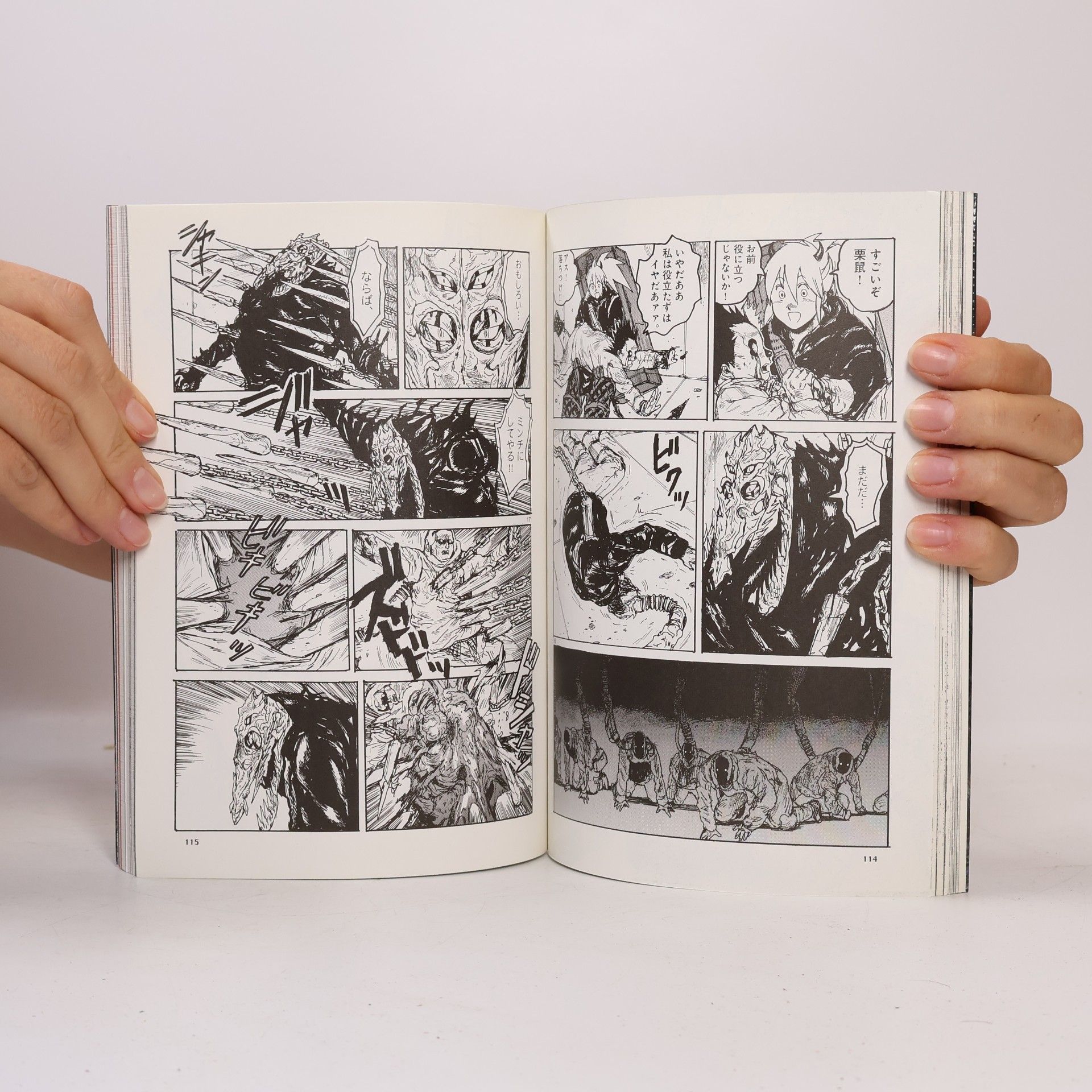 Q Hayashida ドロヘドロ