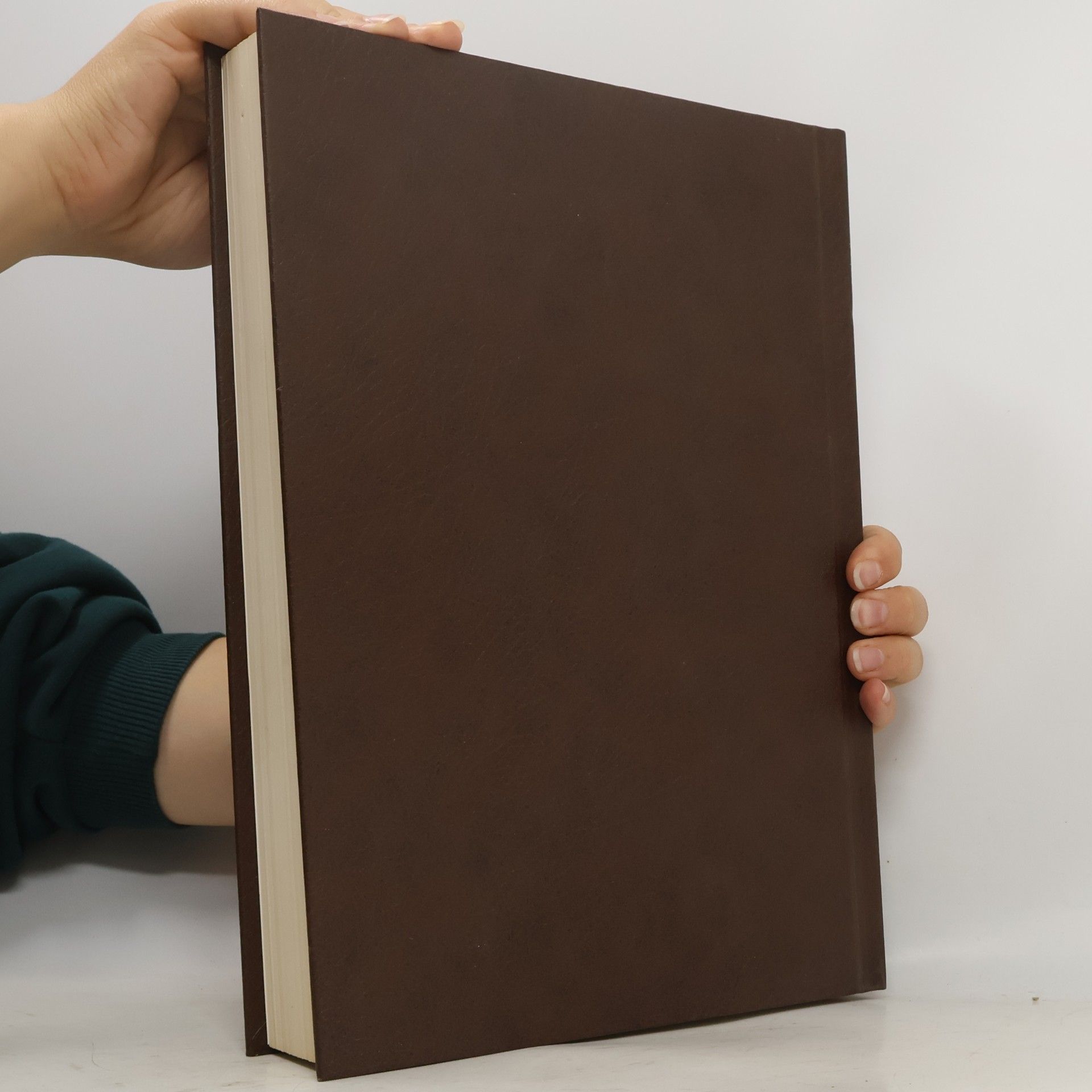 Kolektív autorov Webster's Third New International Dictionary