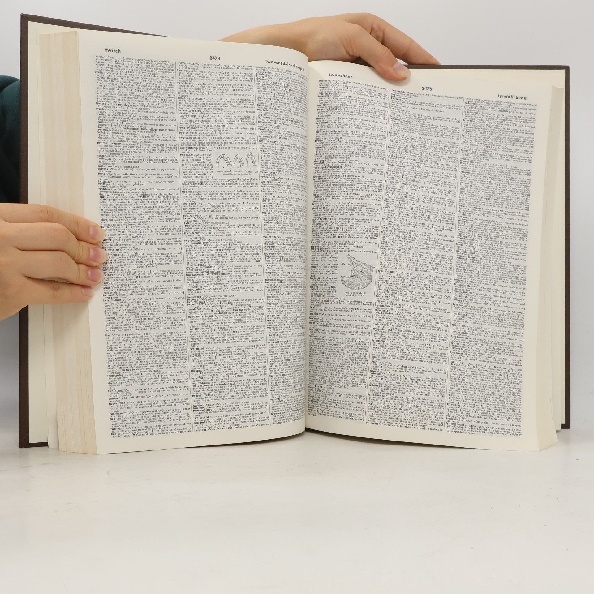 Kolektív autorov Webster's Third New International Dictionary