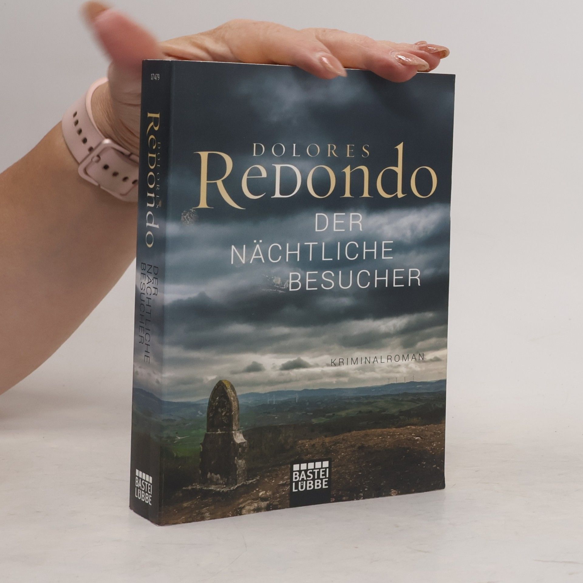 Dolores Redondo Der nächtliche Besucher