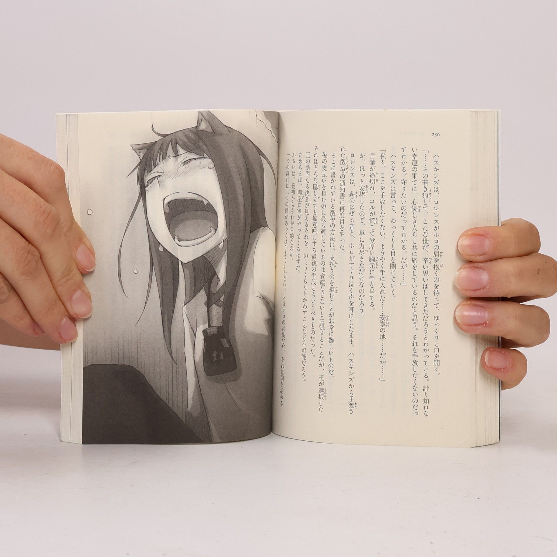 Isuna Hasekura 狼と香辛料