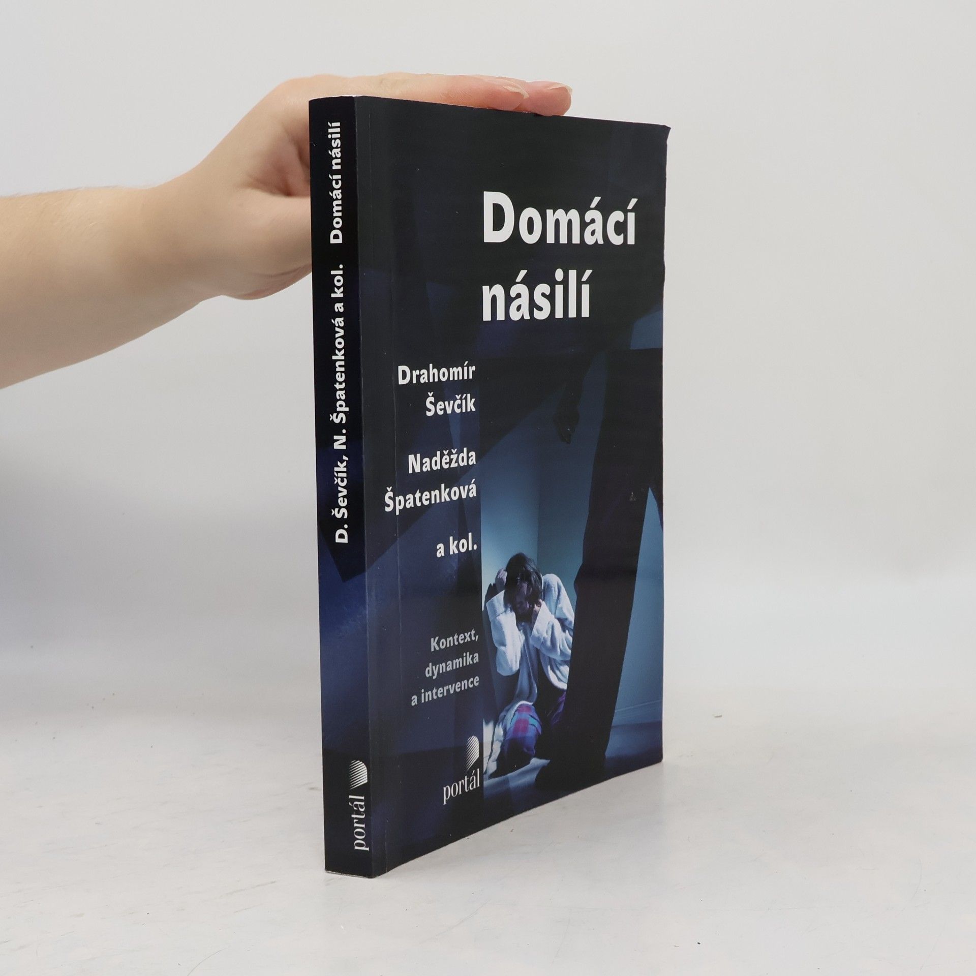 Drahomír Ševčík Domácí násilí : kontext, dynamika a intervence
