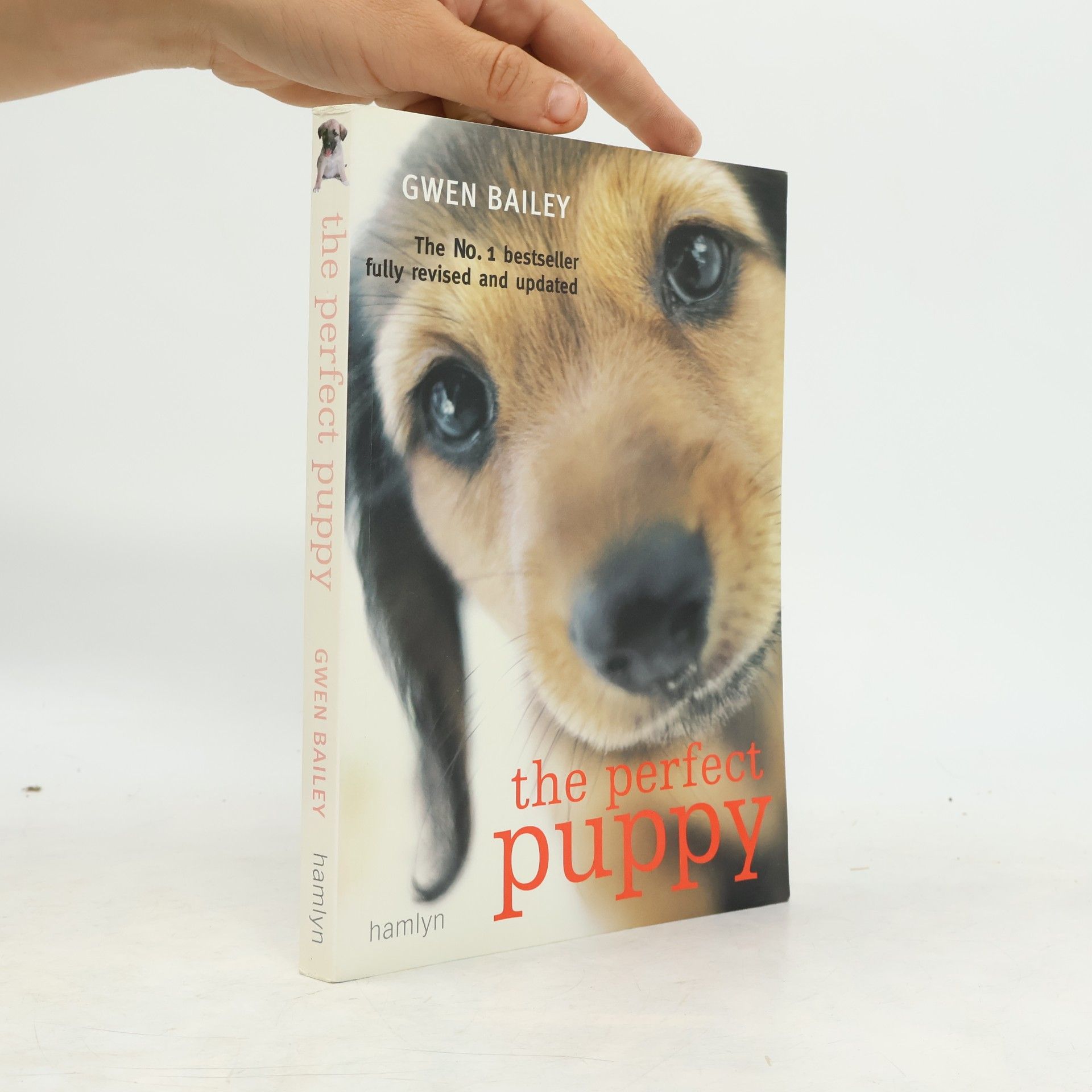Gwen Bayley The Perfect Puppy