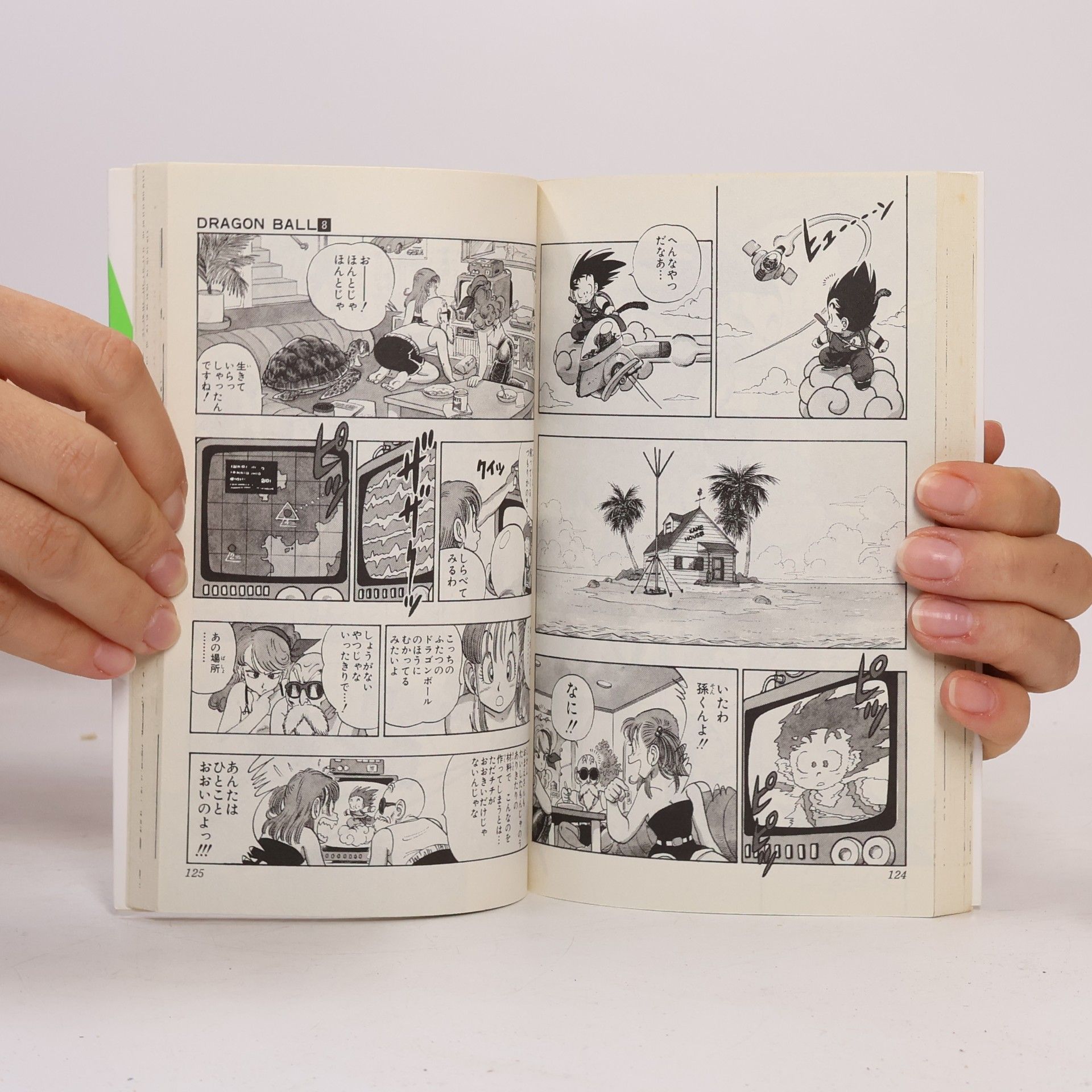 Akira Toriyama Dragon Ball