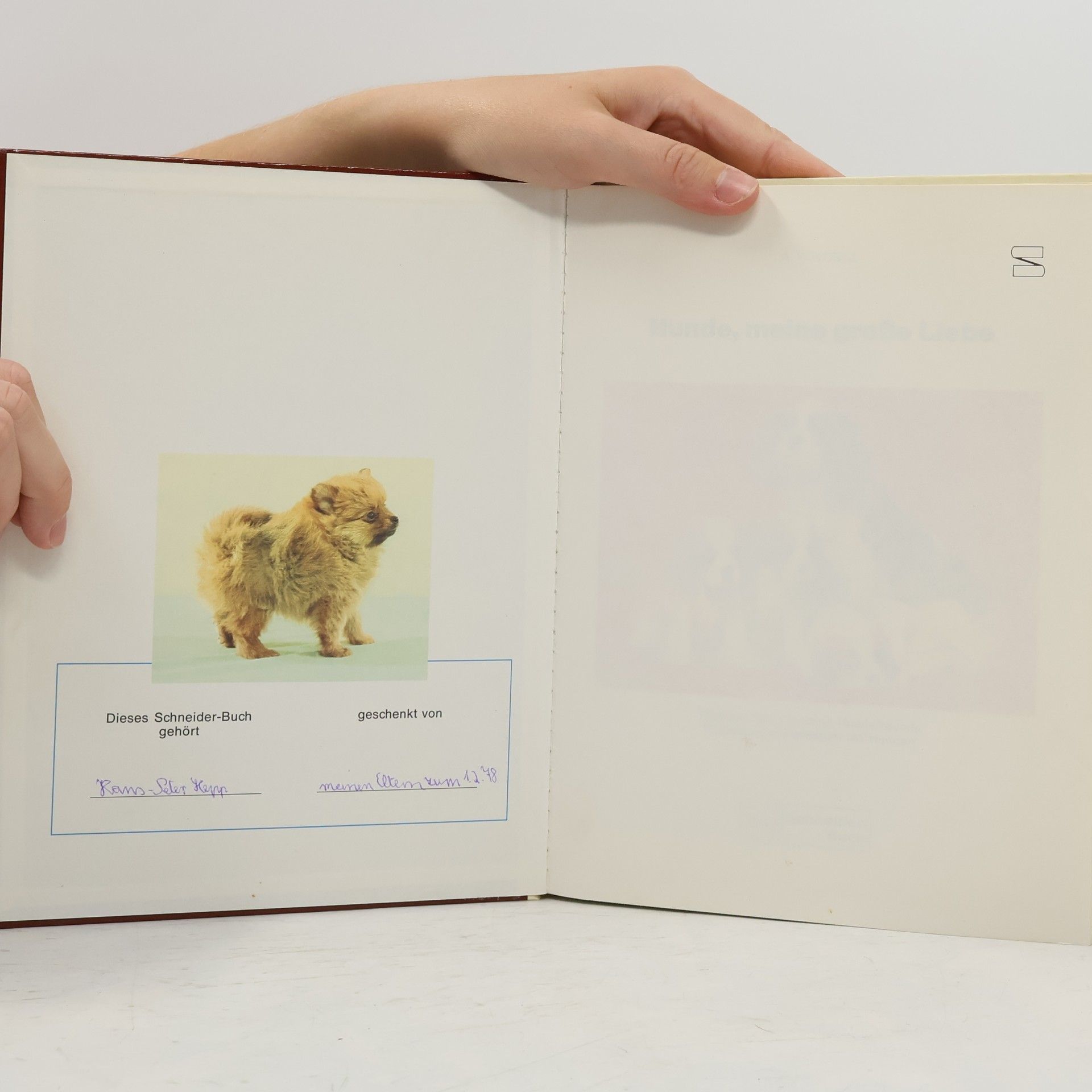 °Ake Wintzell Hunde, meine große Liebe. Wichtige Tips für junge Hundefreunde