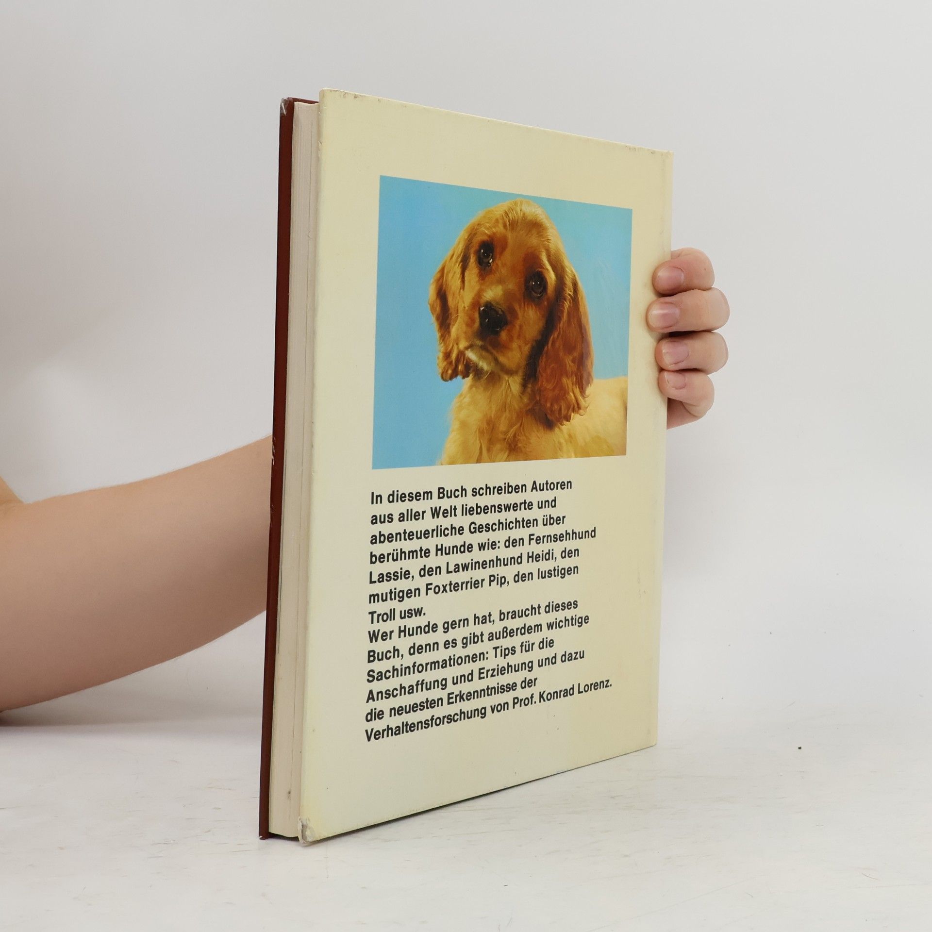 °Ake Wintzell Hunde, meine große Liebe. Wichtige Tips für junge Hundefreunde