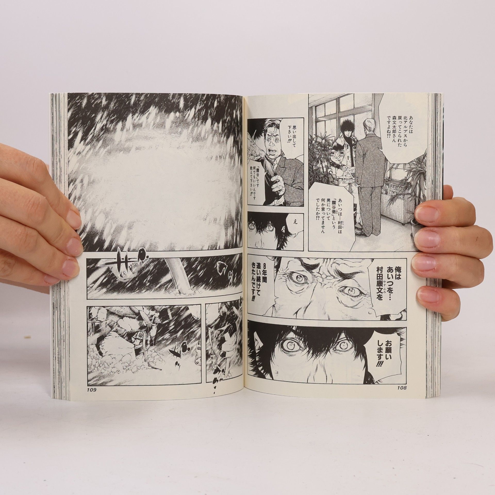 Shin'ichi Sakamoto 孤高の人 8