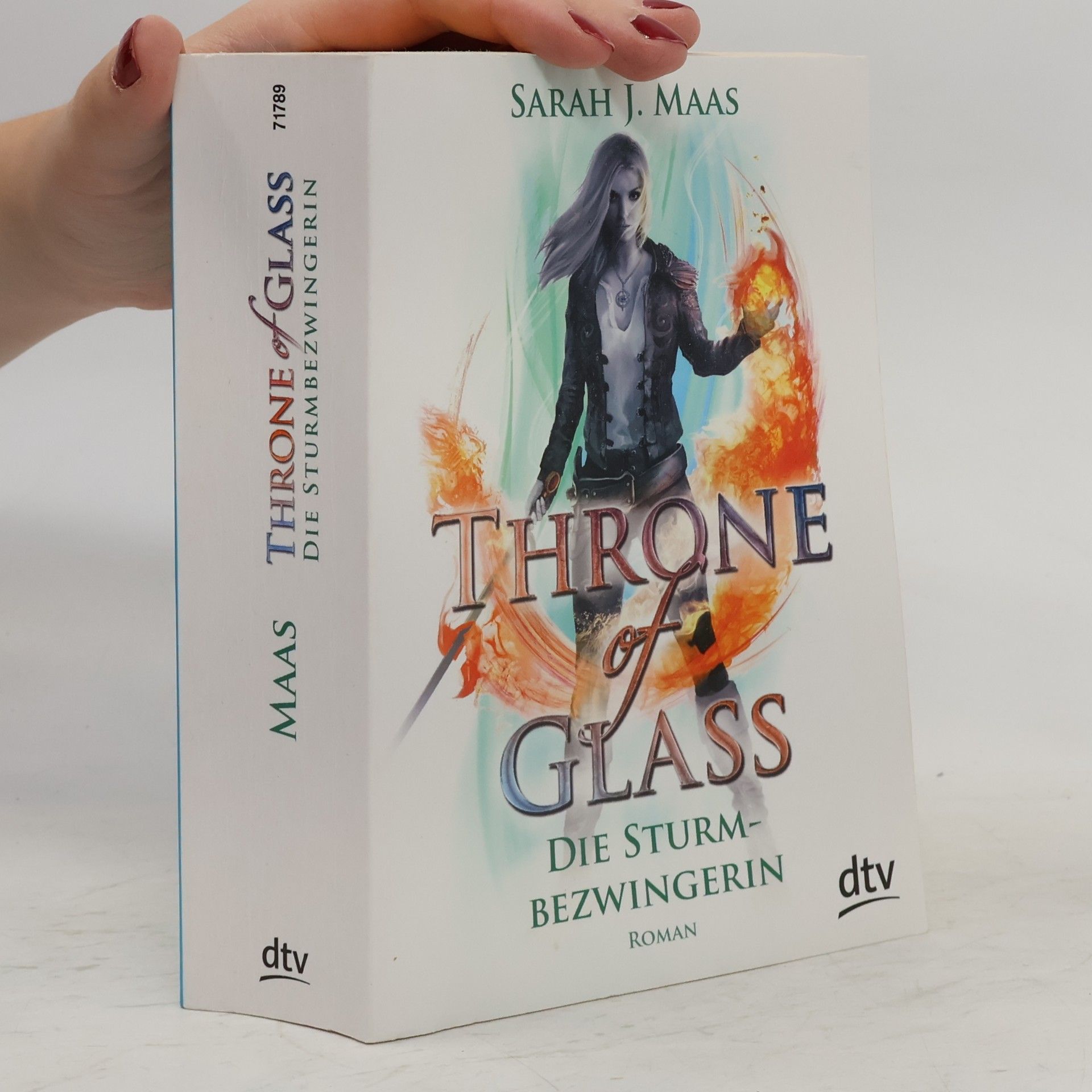 Sarah J. Maas Die Sturmbezwingerin