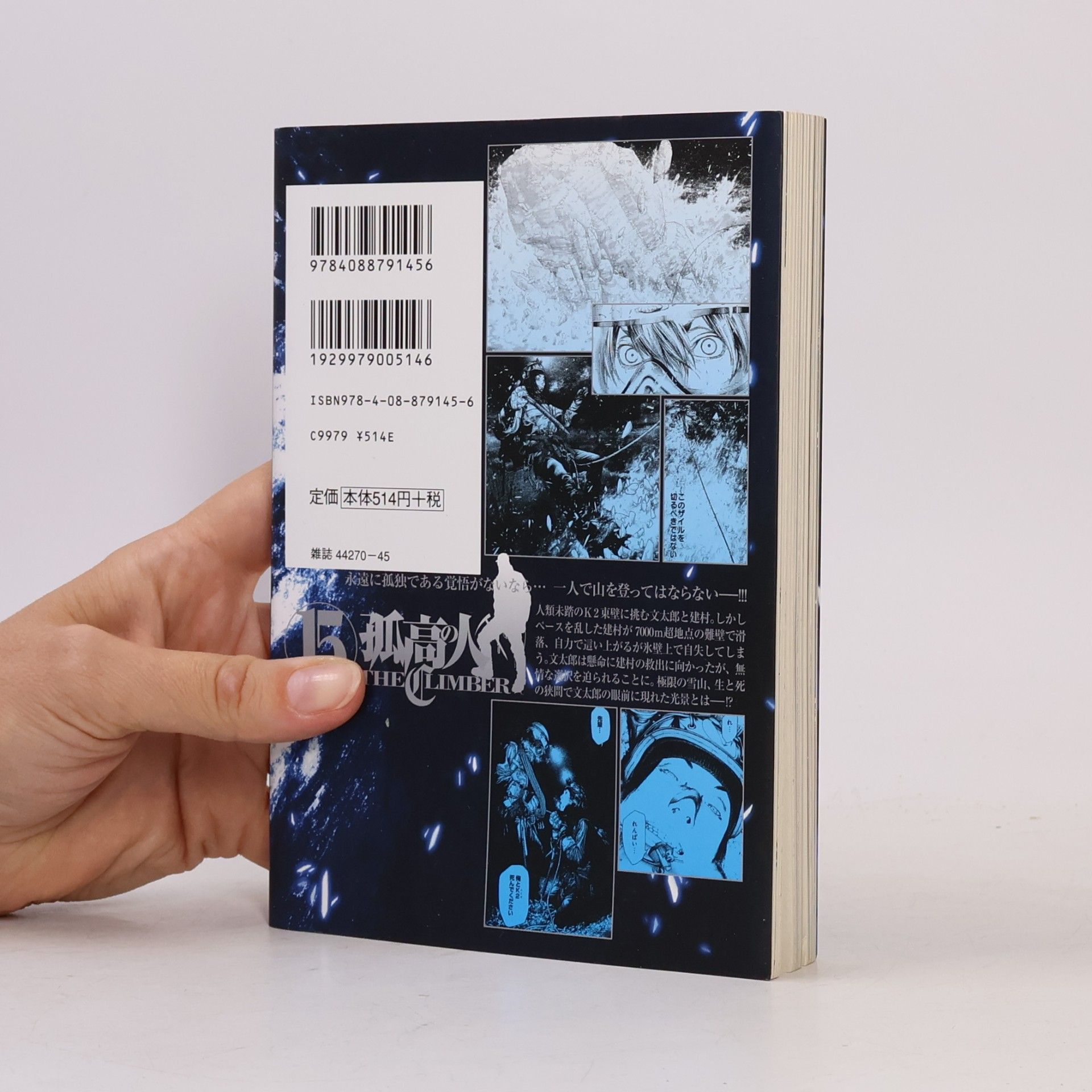 坂本眞一 ヤングジャンプコミックス - 15: 孤高の人