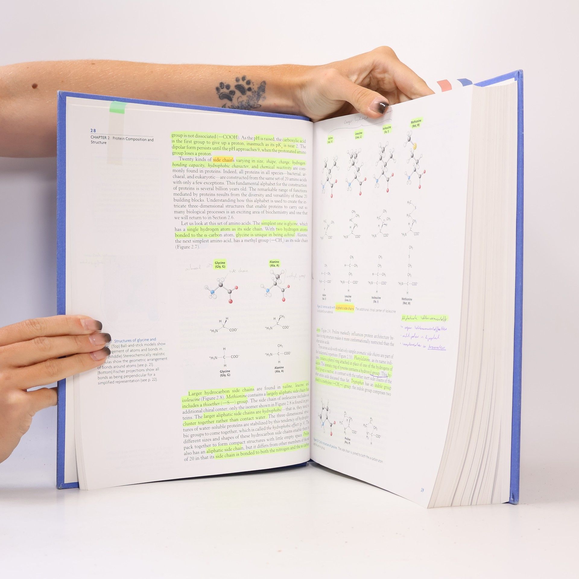 Jeremy Mark Berg Biochemistry