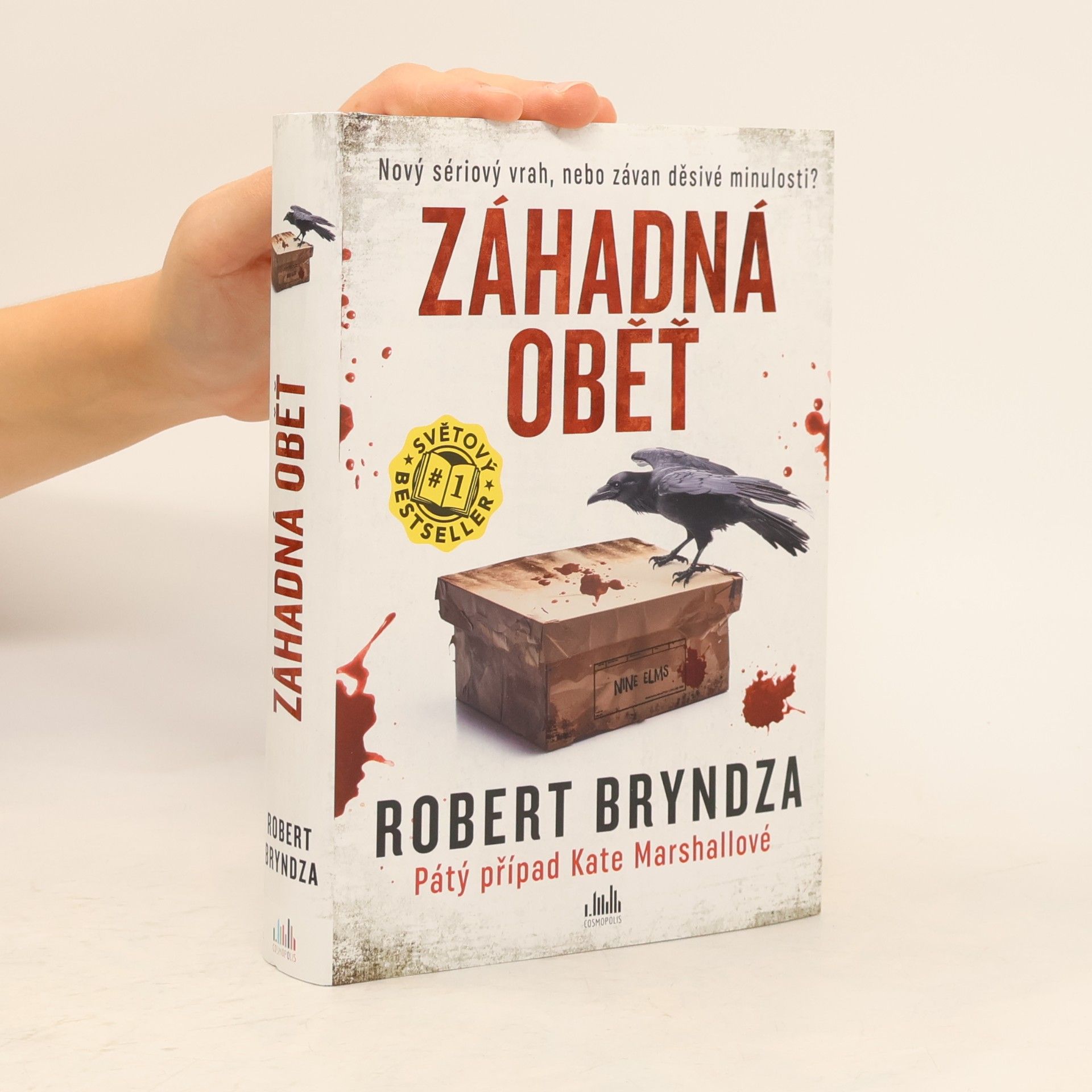 Robert Bryndza Záhadná oběť
