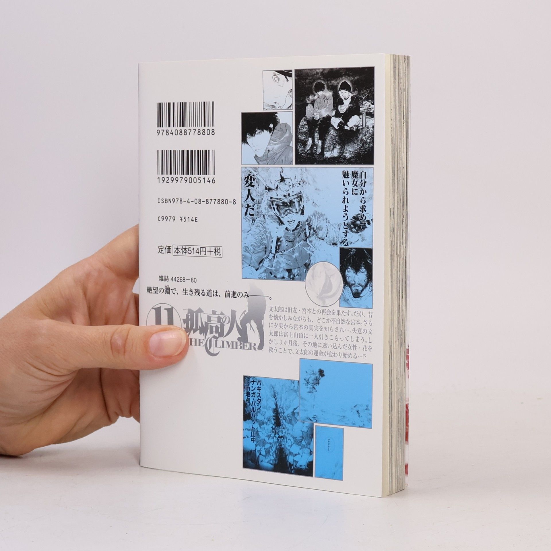 Shin'ichi Sakamoto 孤高の人 11
