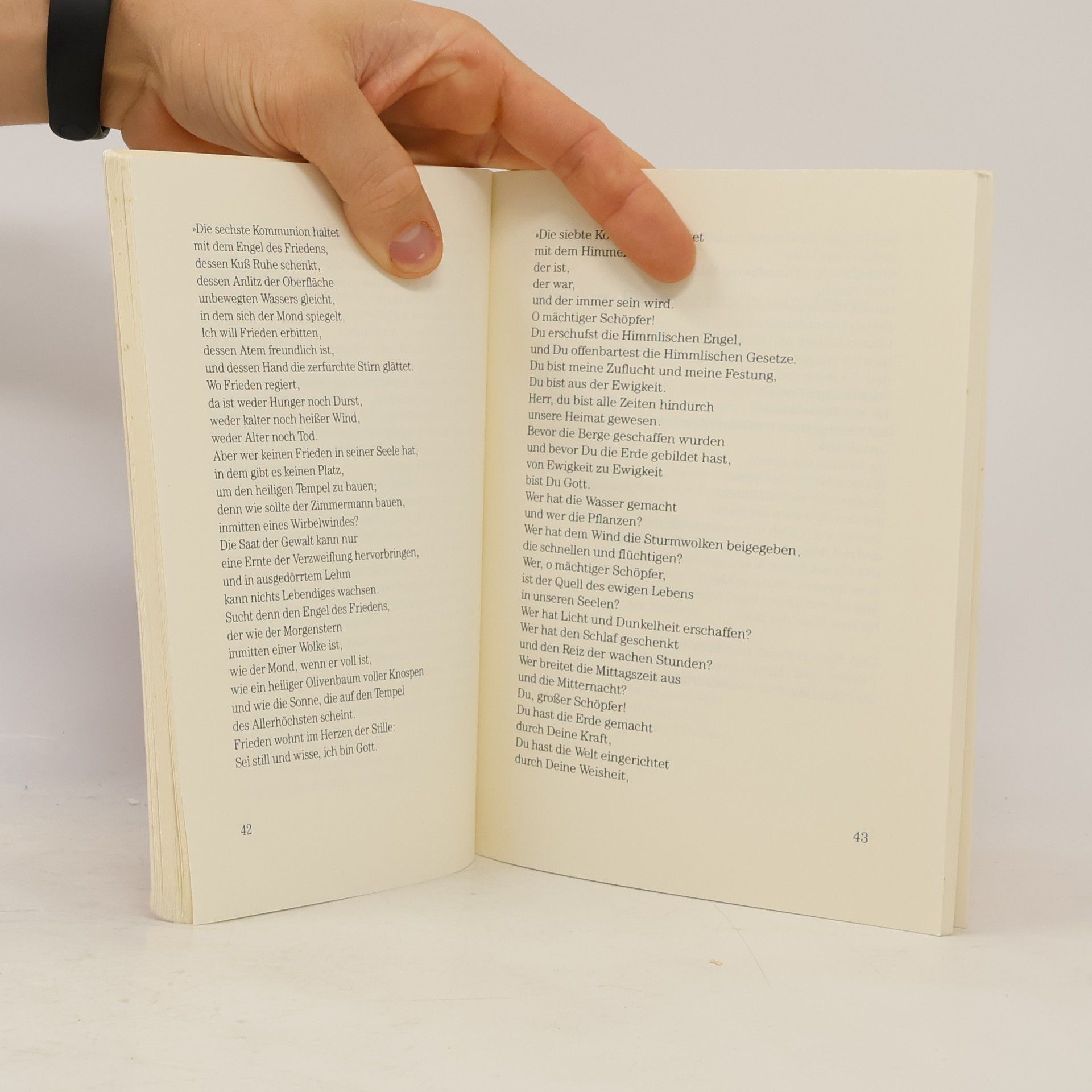Edmund Bordeaux Szekely Die unbekannten Schriften der Essener - Buch 2