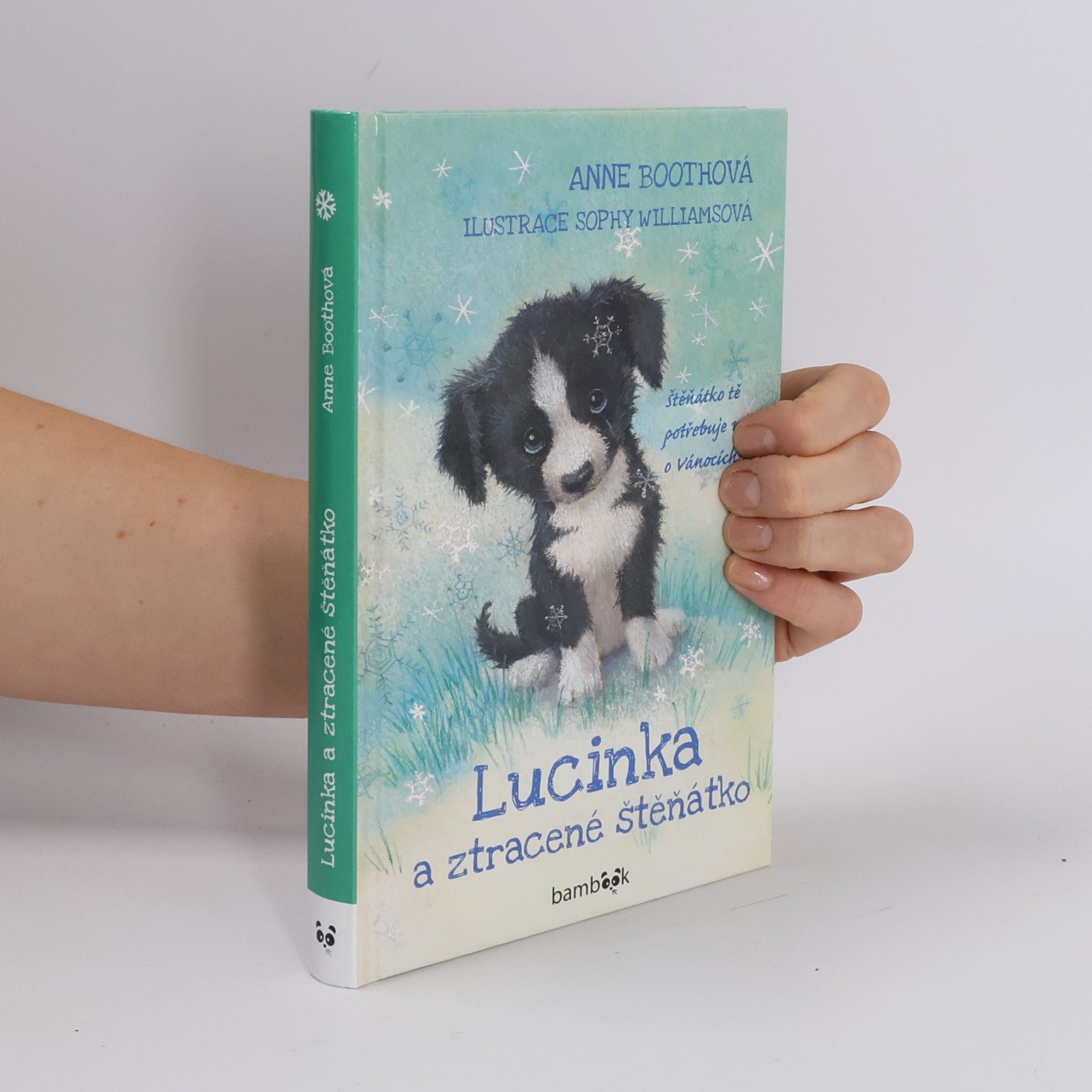 Anne Booth Lucinka a ztracené štěňátko