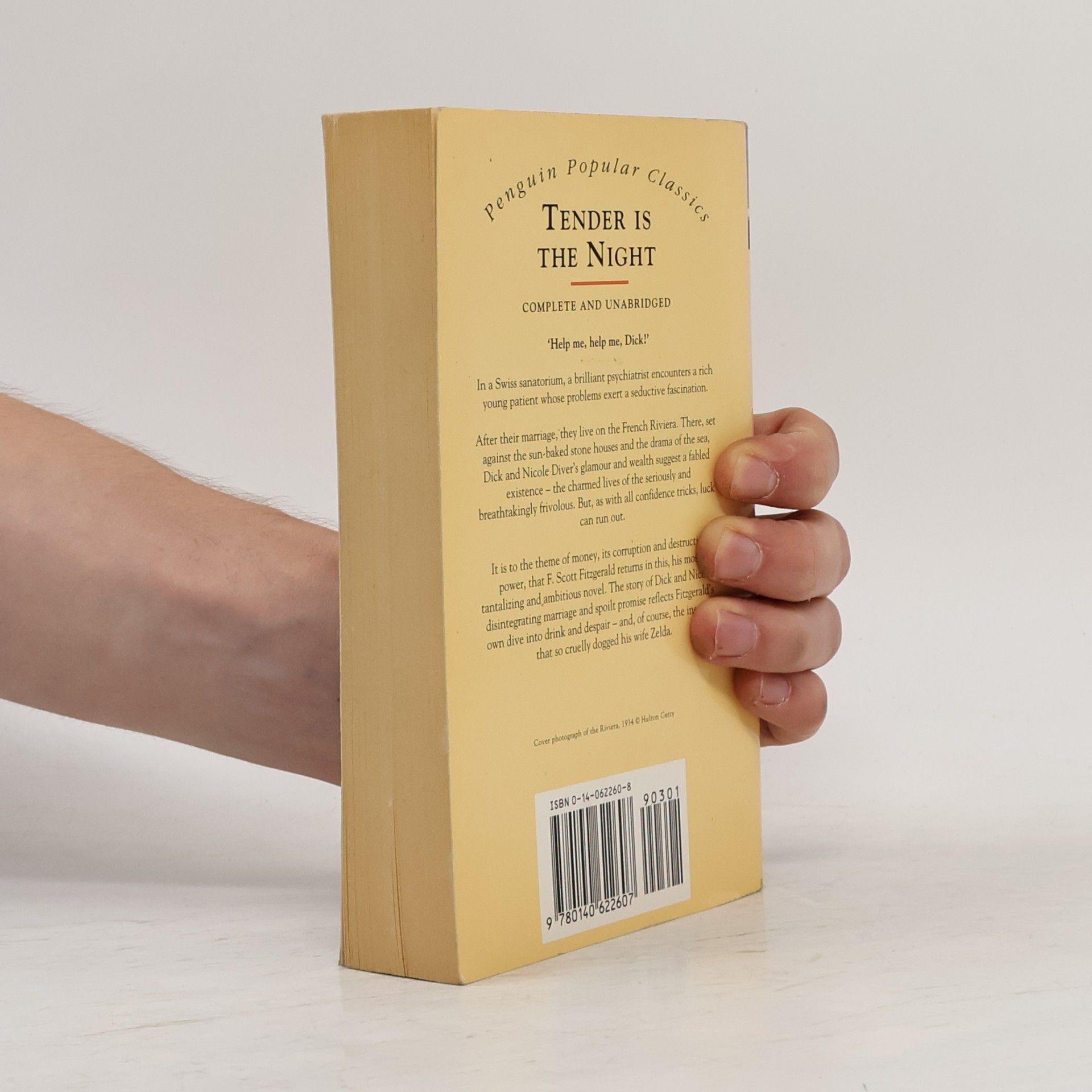 Francis Scott Fitzgerald Tender is the Night