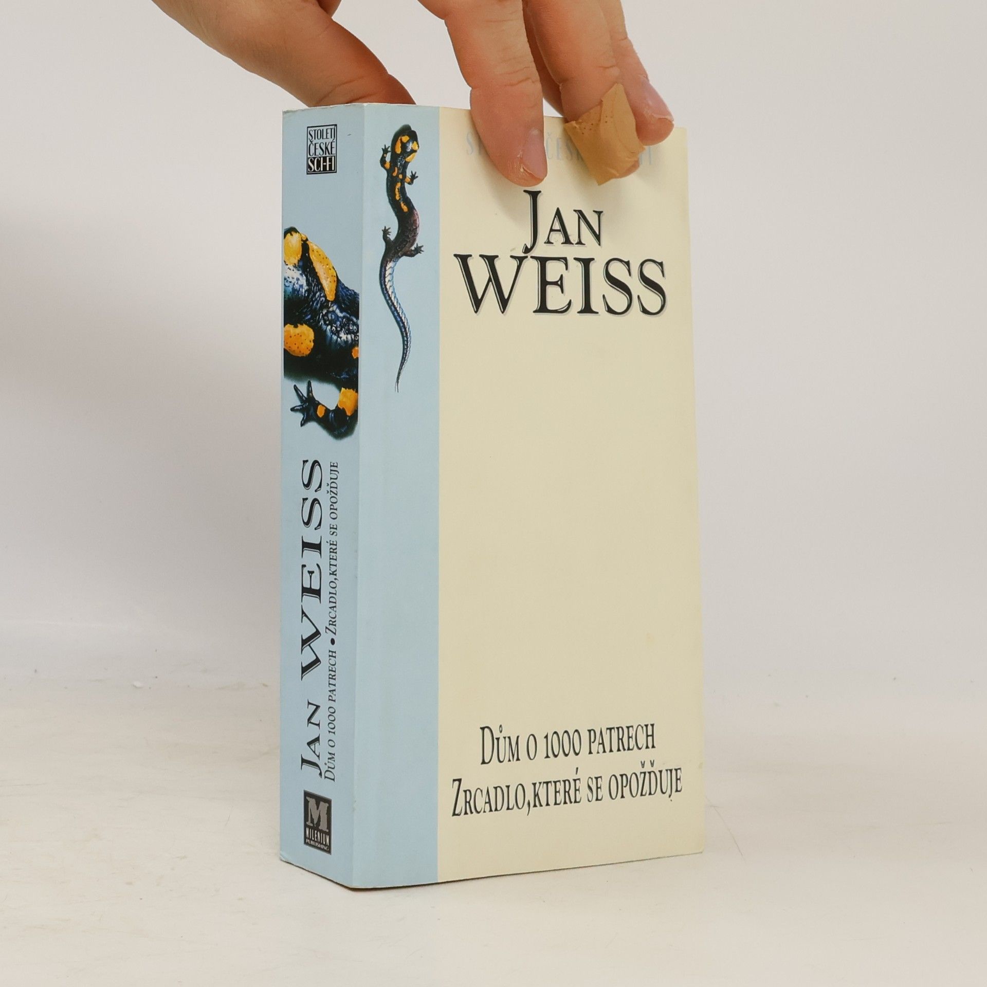 Jan Weiss Dům o 1000 patrech. Zrcadlo, které se zpožďuje