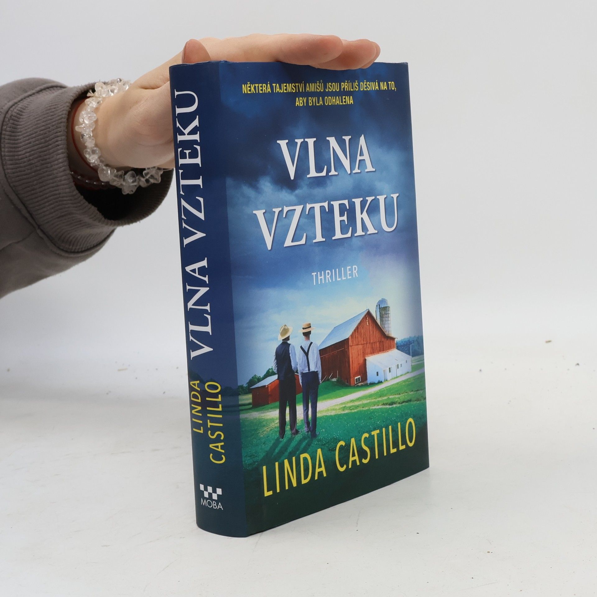Linda Castillo Vlna vzteku