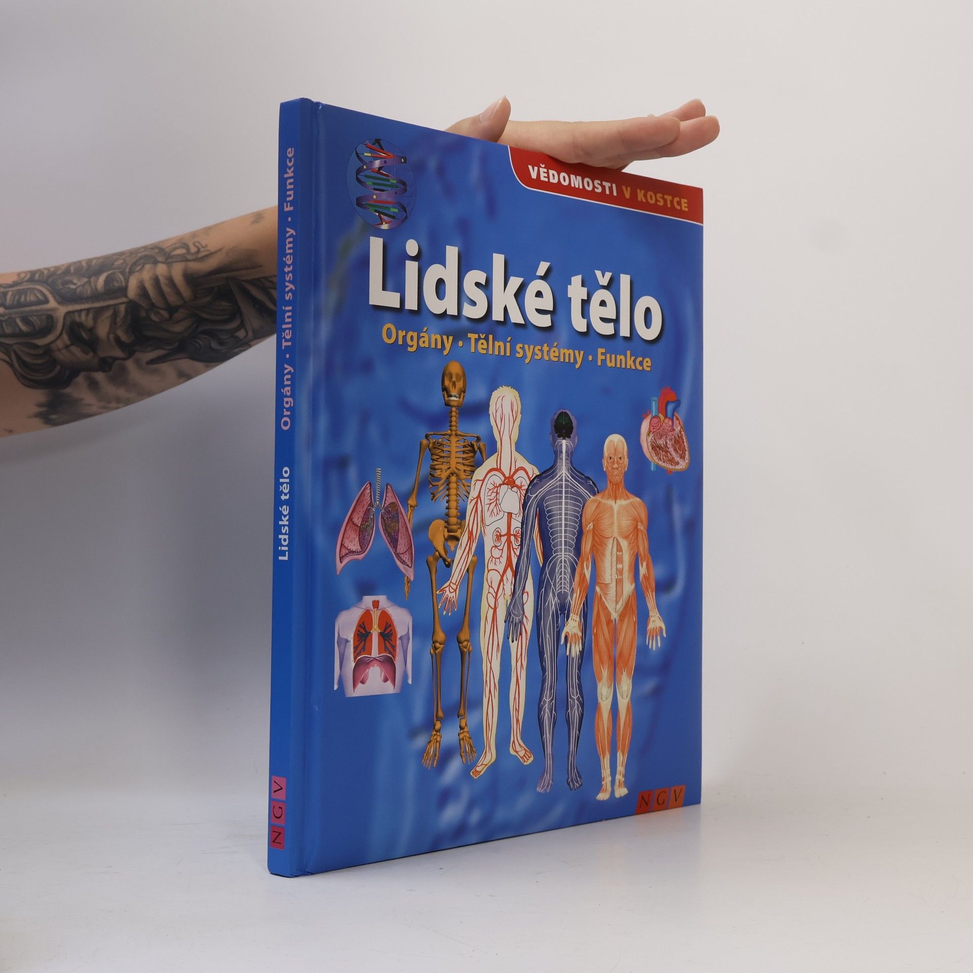 Kolektiv autorů Lidské tělo. Orgány. Tělní systémy. Funkce