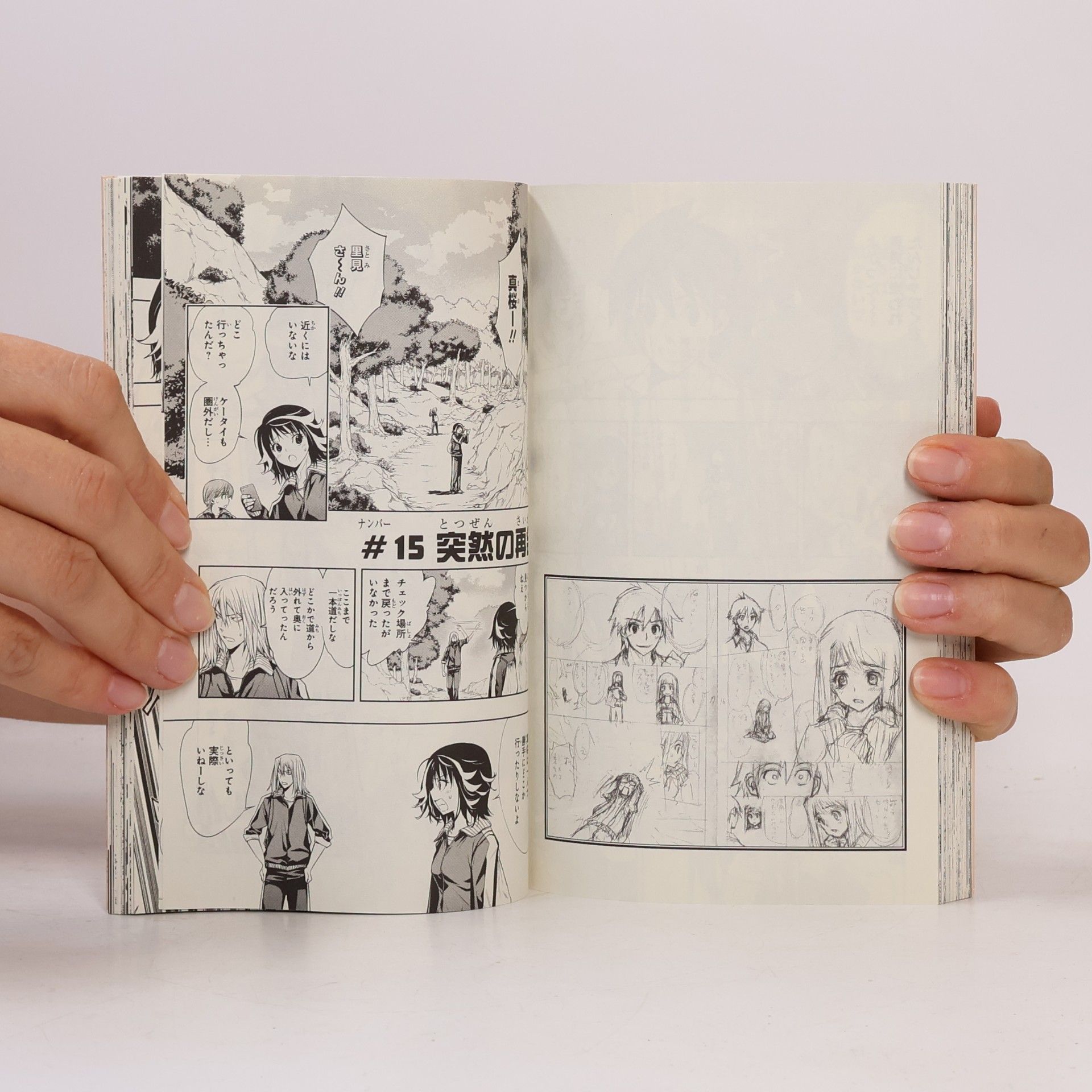 叶 恭弘 JUMP COMICS - 2: 鏡の国の針栖川