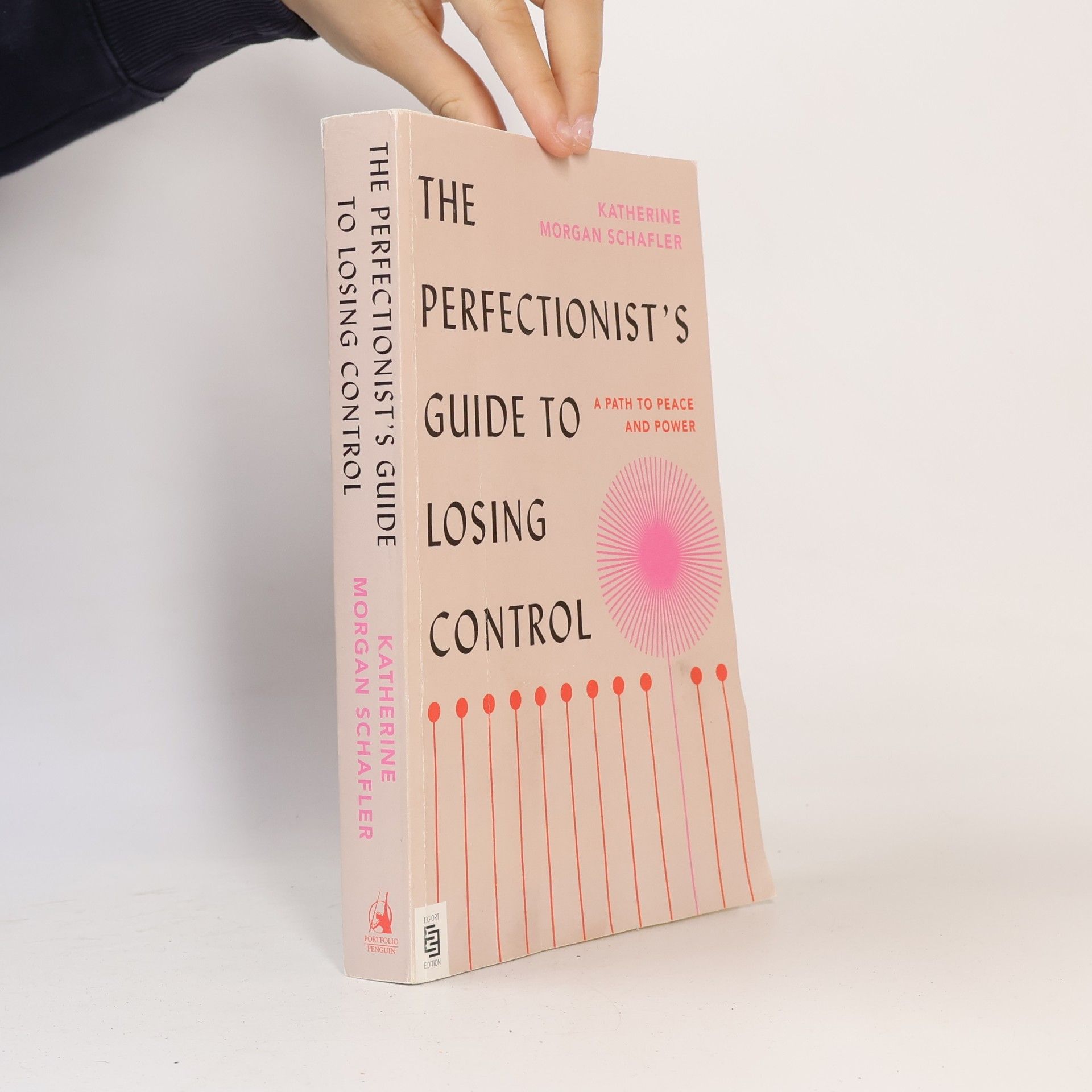 Katherine Schafler The Perfectionist's Guide to Losing Control