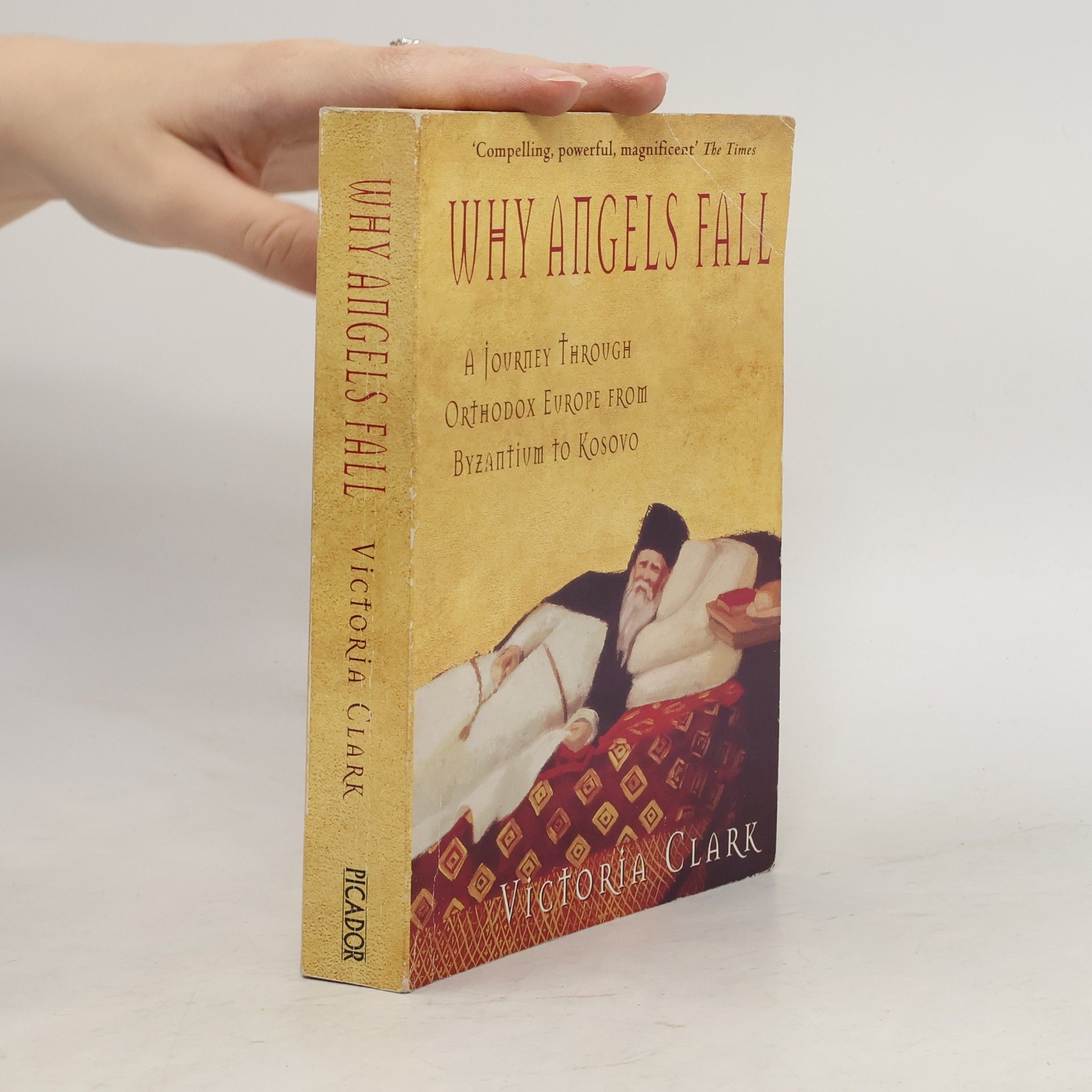 Victoria Clark Why Angels Fall
