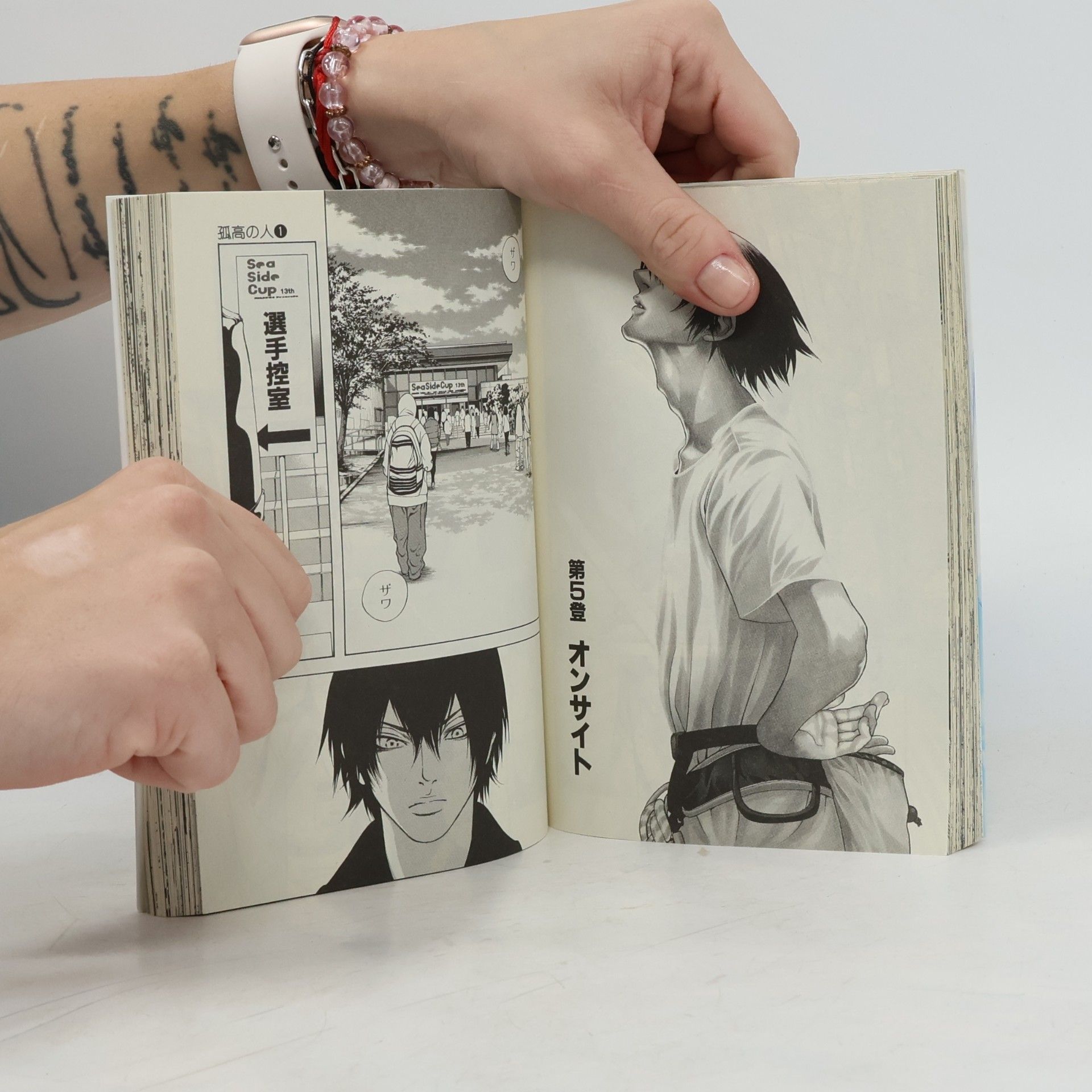 Shin'ichi Sakamoto 孤高の人