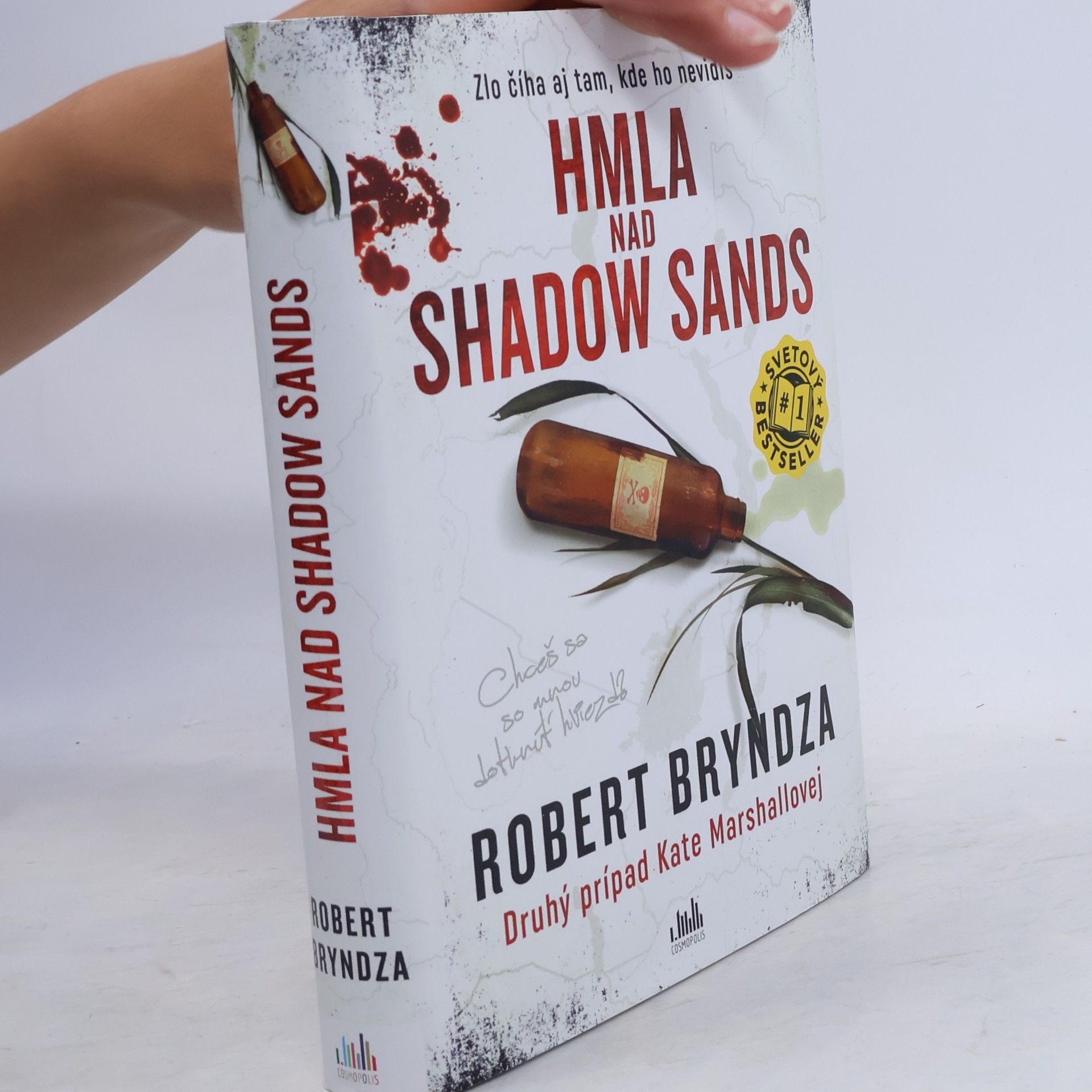 Robert Bryndza Kate Marshall - 2: Hmla nad Shadow Sands