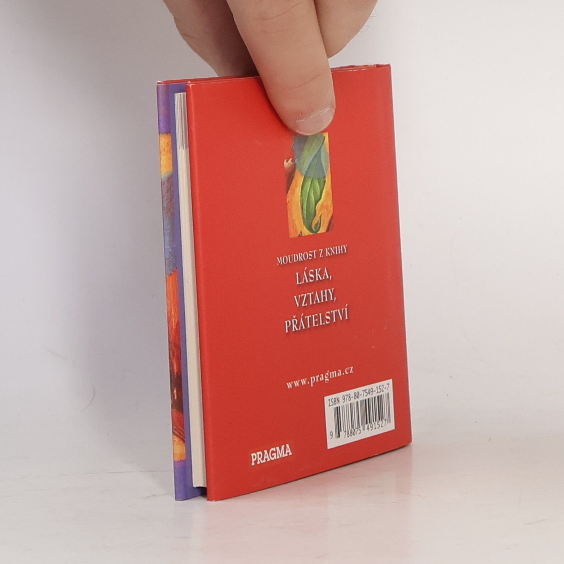Don Miguel Ruiz Moudrost z knihy Láska, vztahy, přátelství