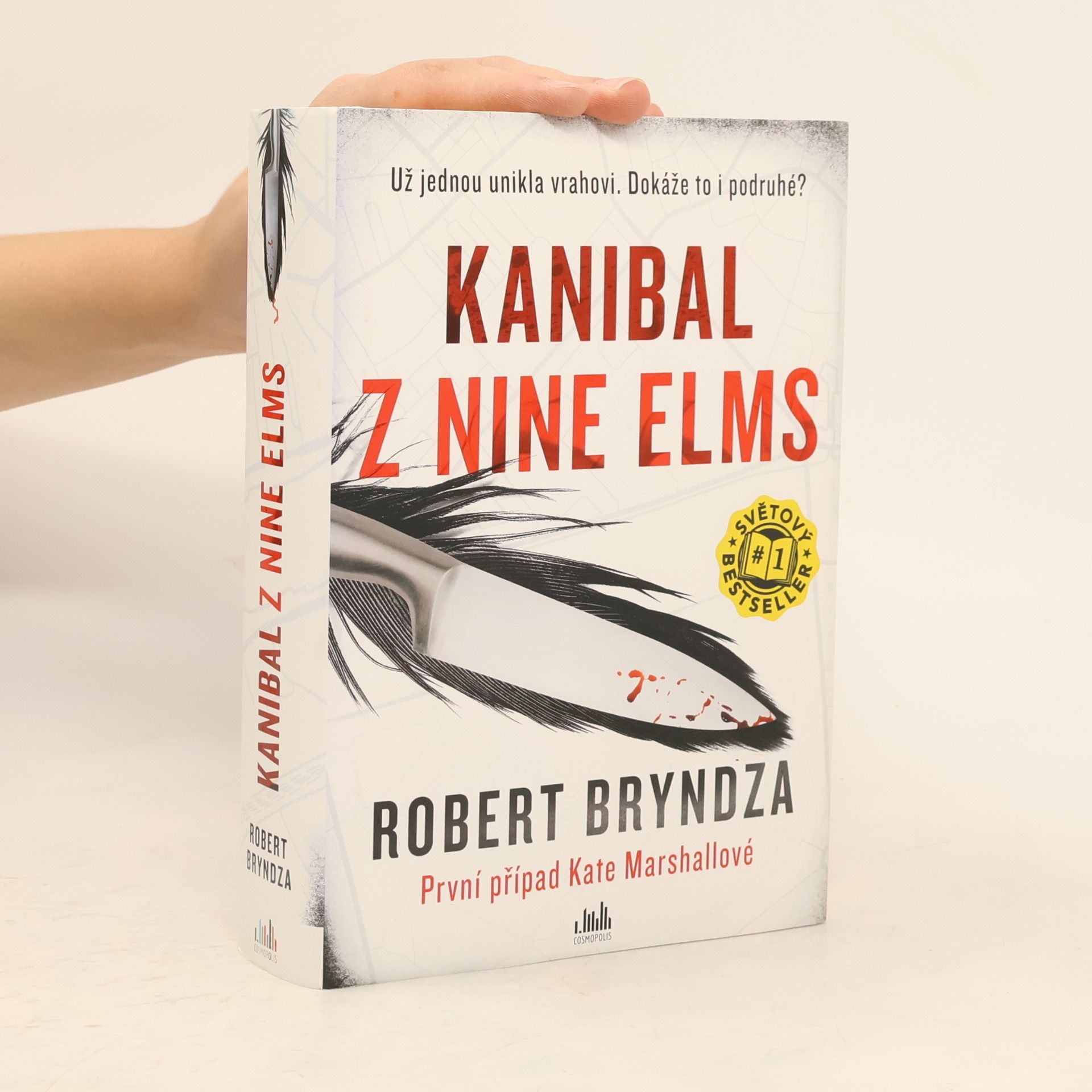 Robert Bryndza Kanibal z Nine Elms