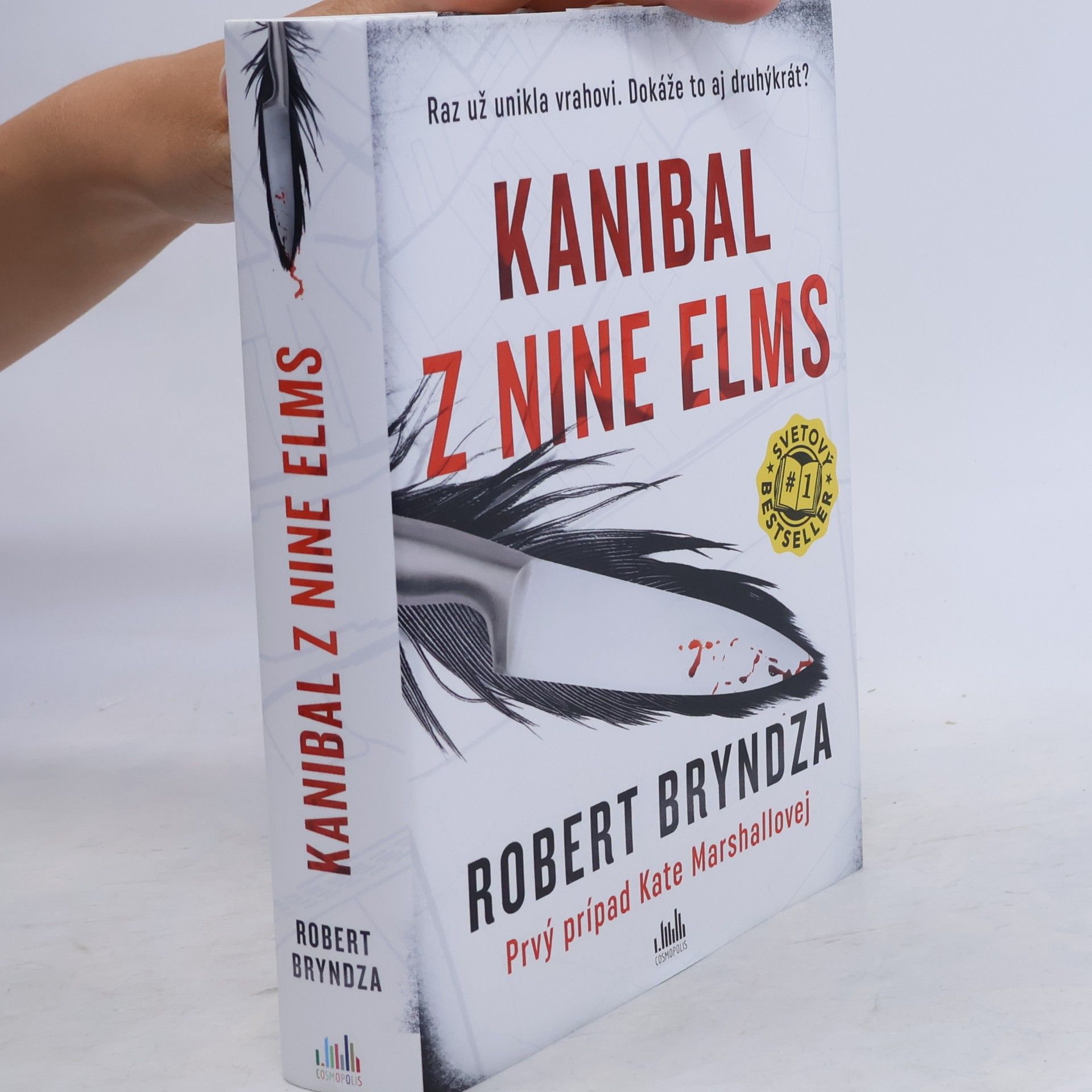 Robert Bryndza Kanibal z Nine Elms