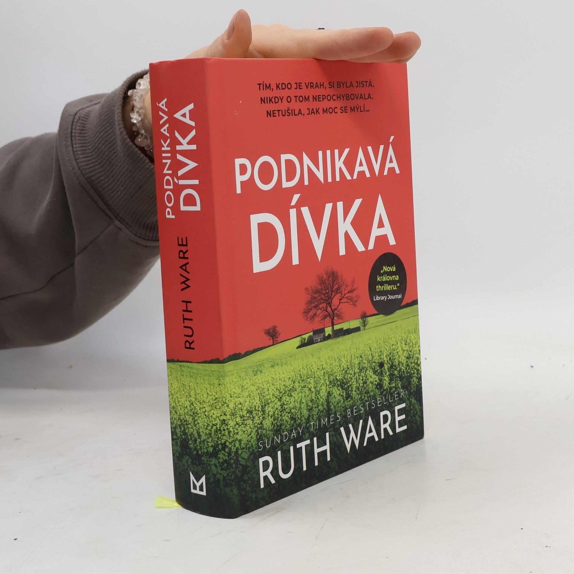 Ruth Ware Podnikavá dívka
