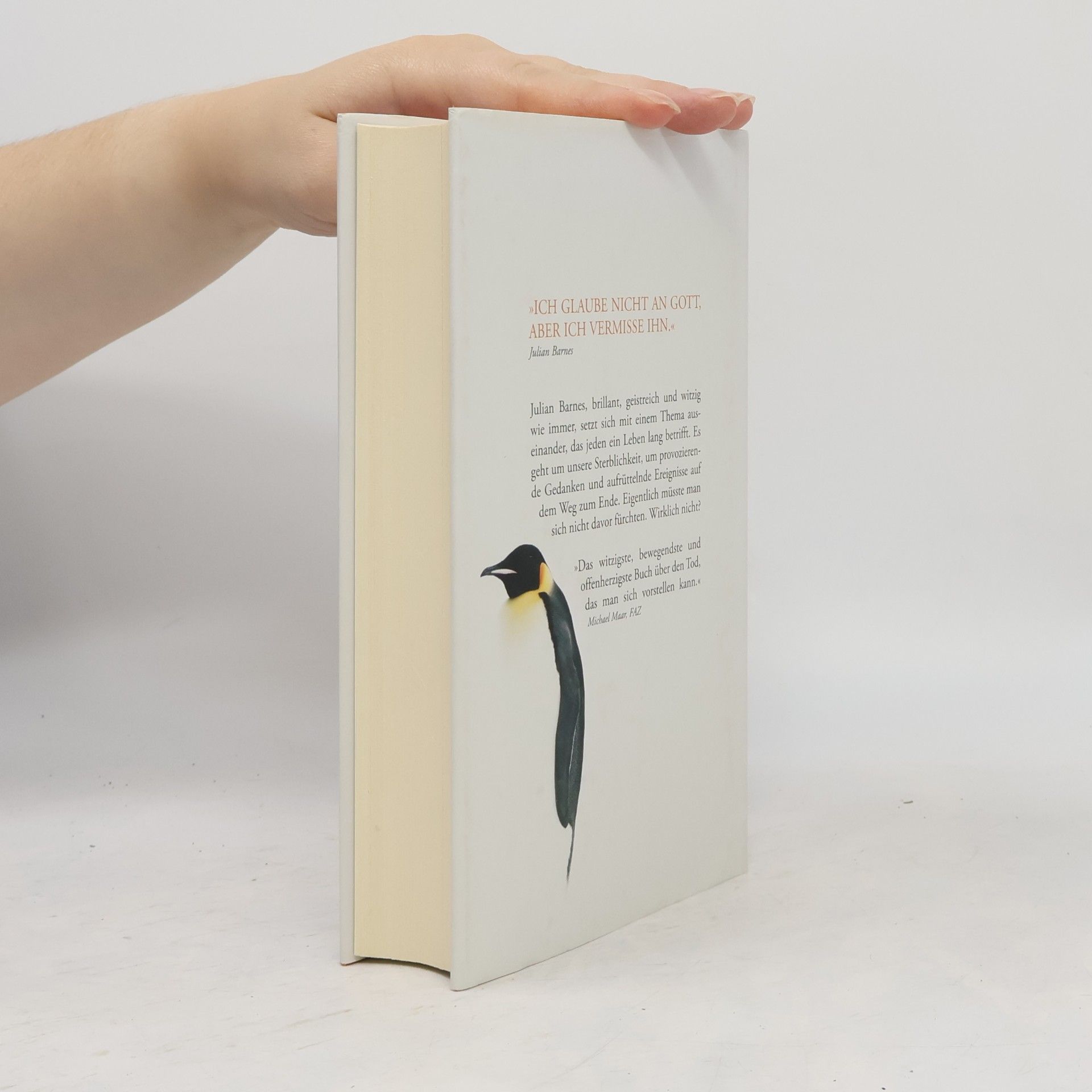 Julian Barnes Nichts, was man fürchten müsste
