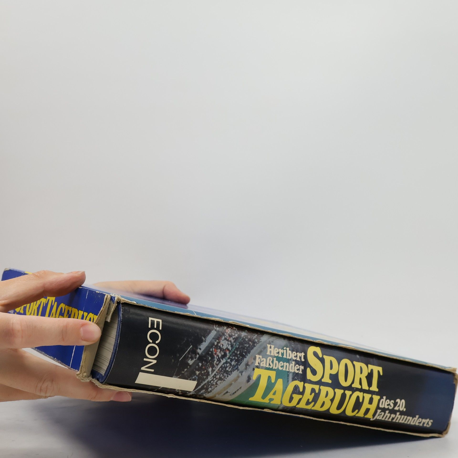 Peter Gödeke Sport-Tagebuch des 20. Jahrhunderts
