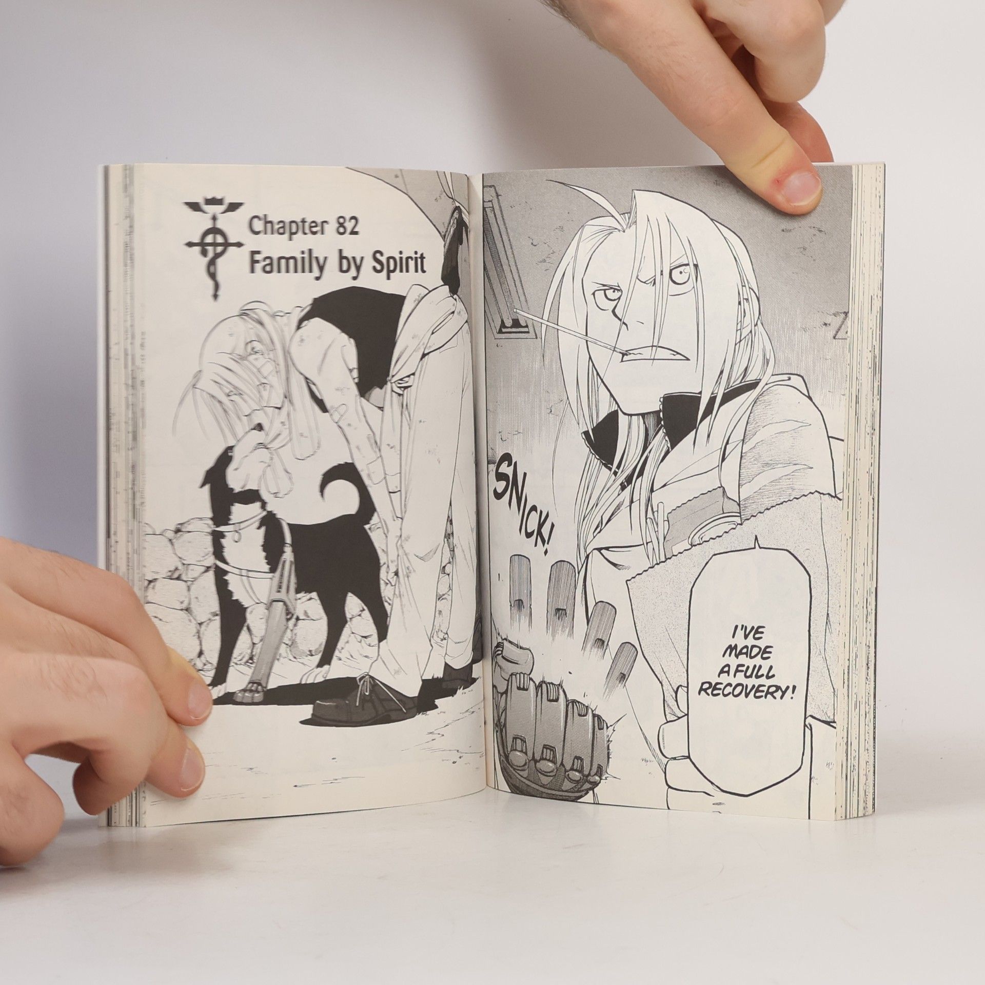 Hiromu Arakawa Fullmetal Alchemist, Vol. 20
