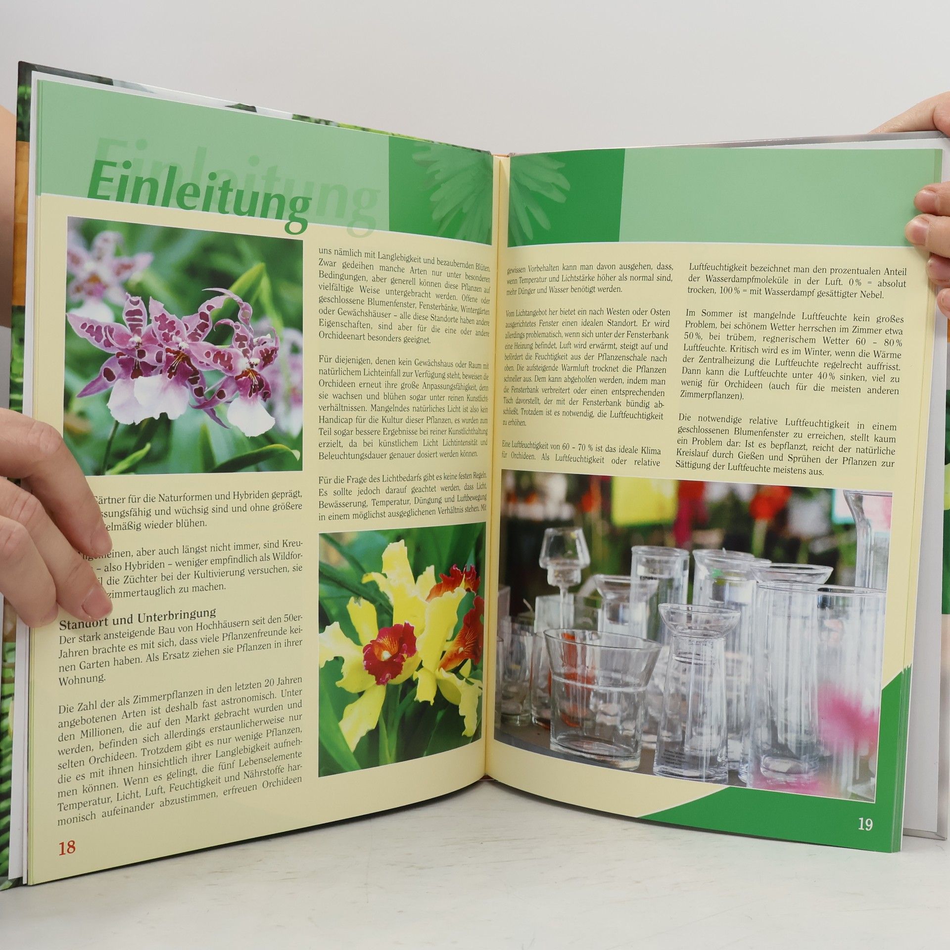 kolektiv Orchideen
