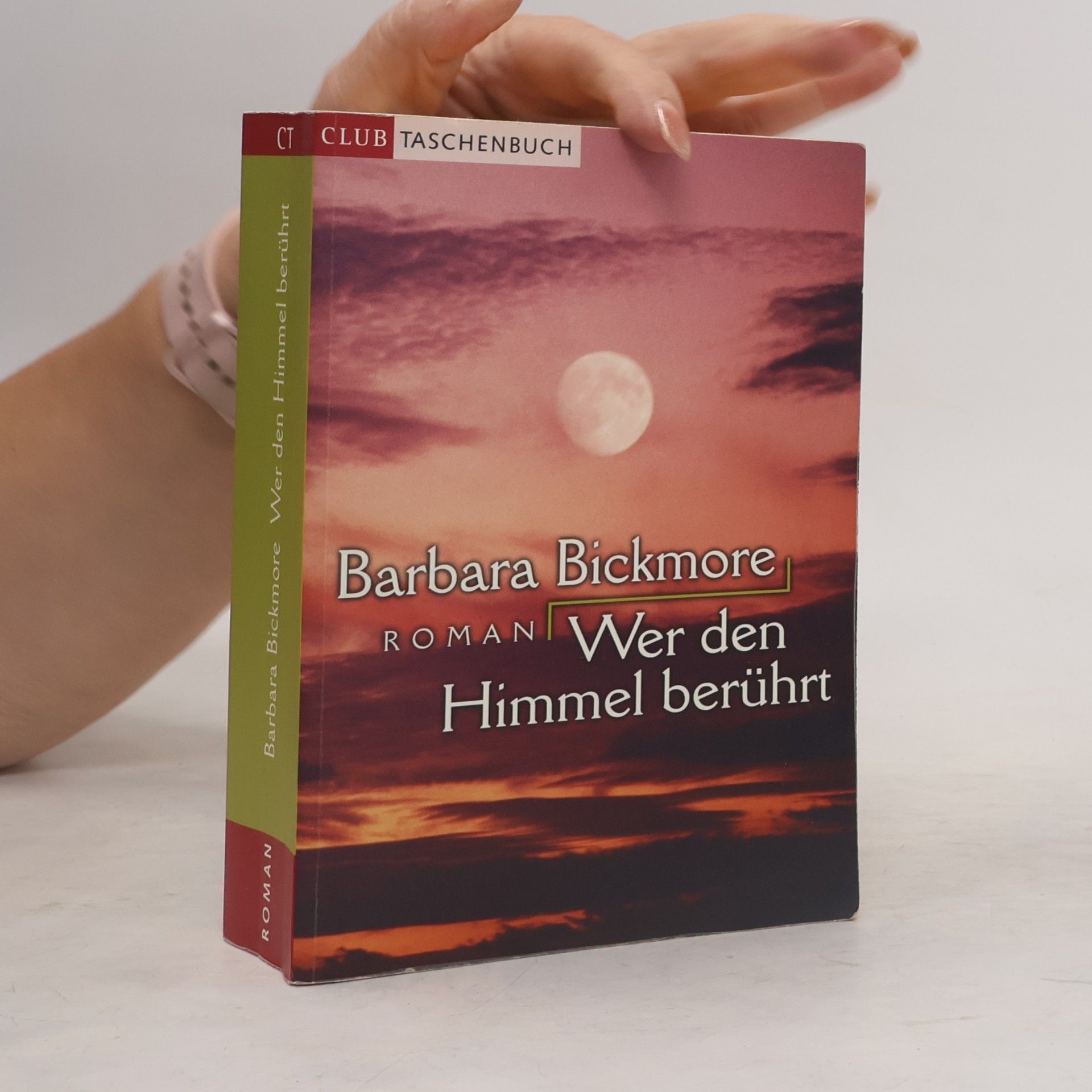 Barbara Bickmore Wer den Himmel berührt